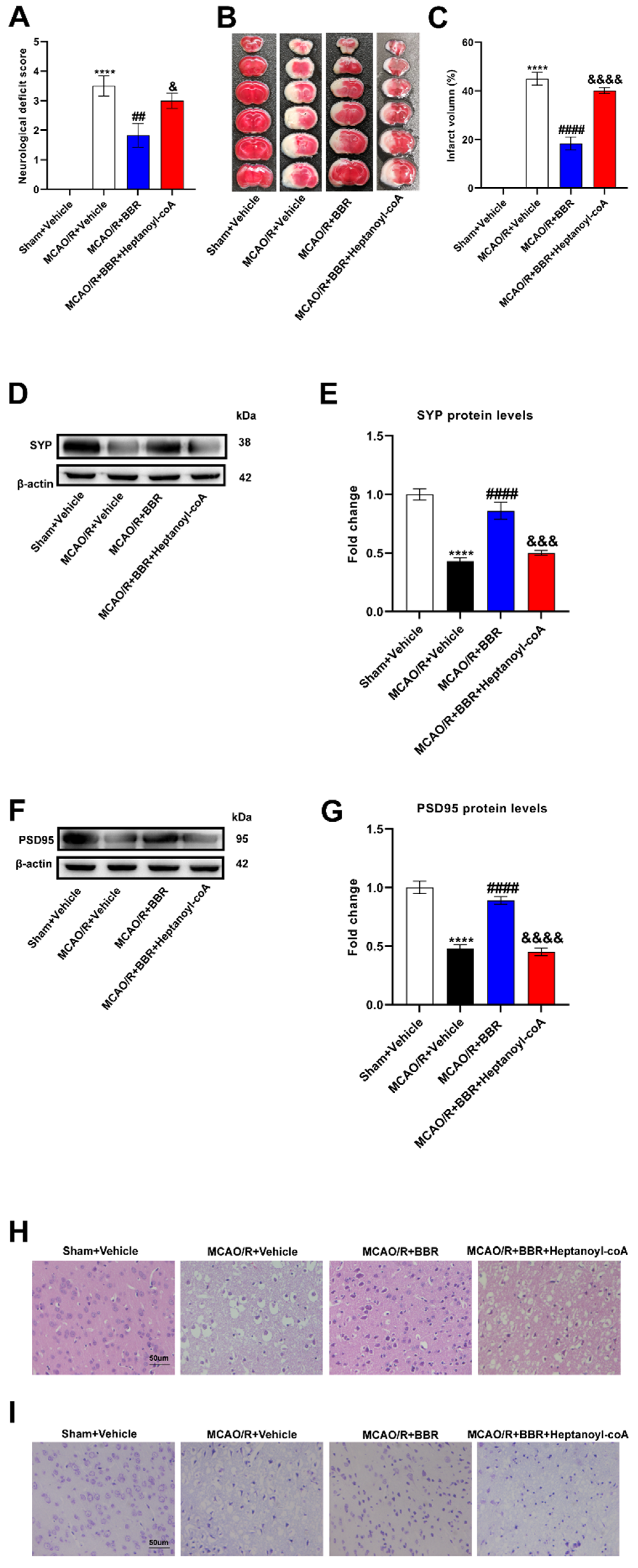 Preprints 88295 g005