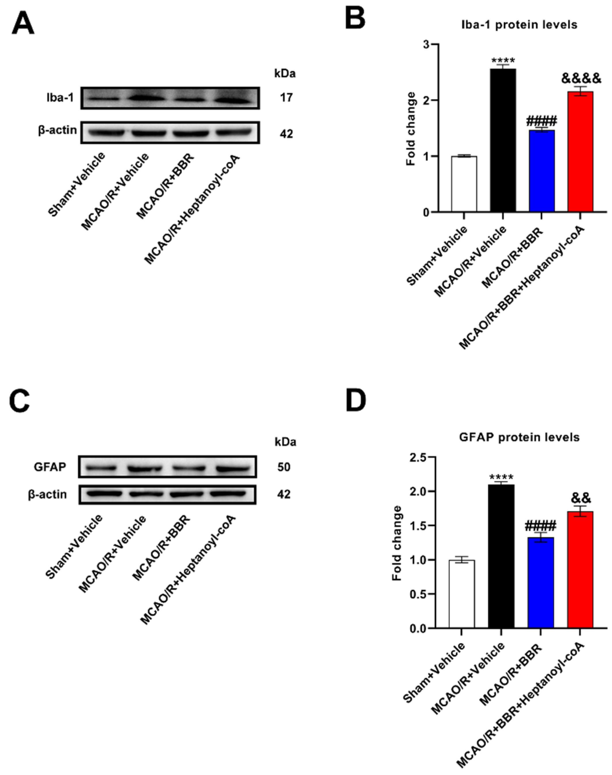 Preprints 88295 g007a