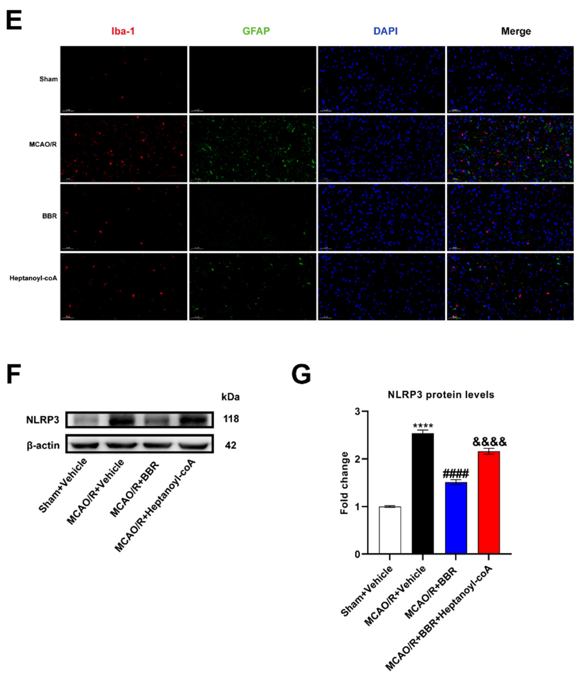 Preprints 88295 g007b