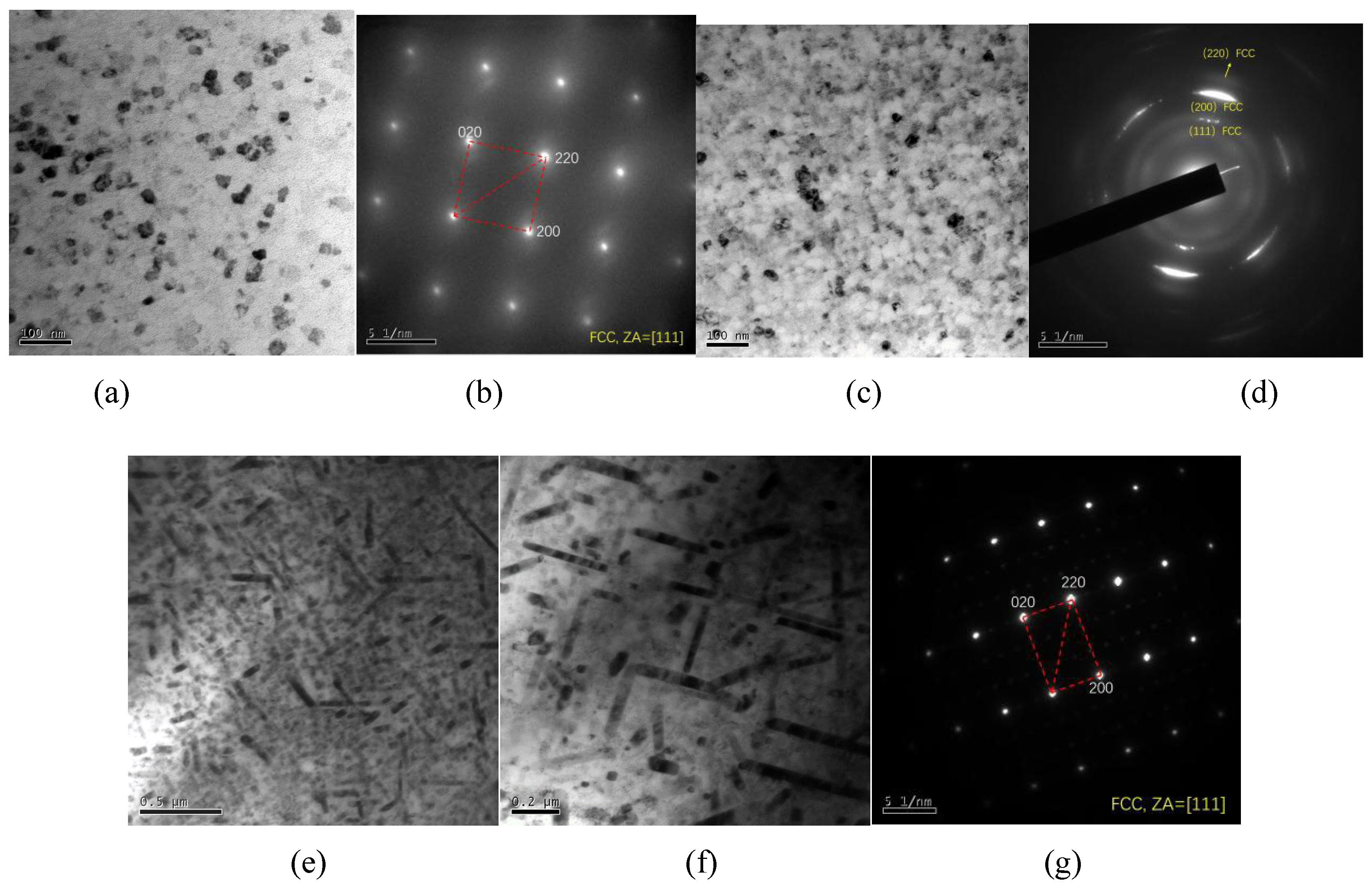 Preprints 99589 g009