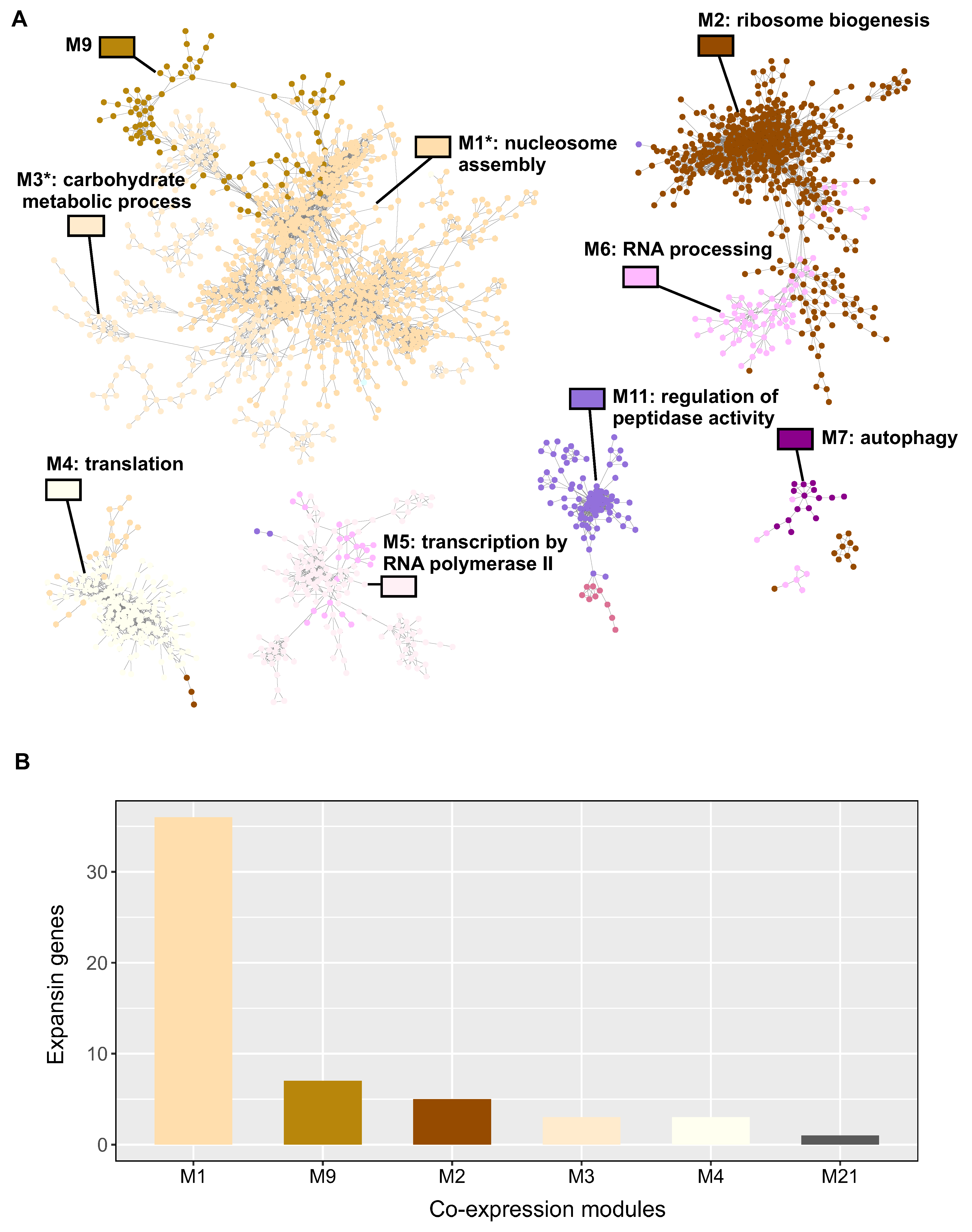 Preprints 79038 g004