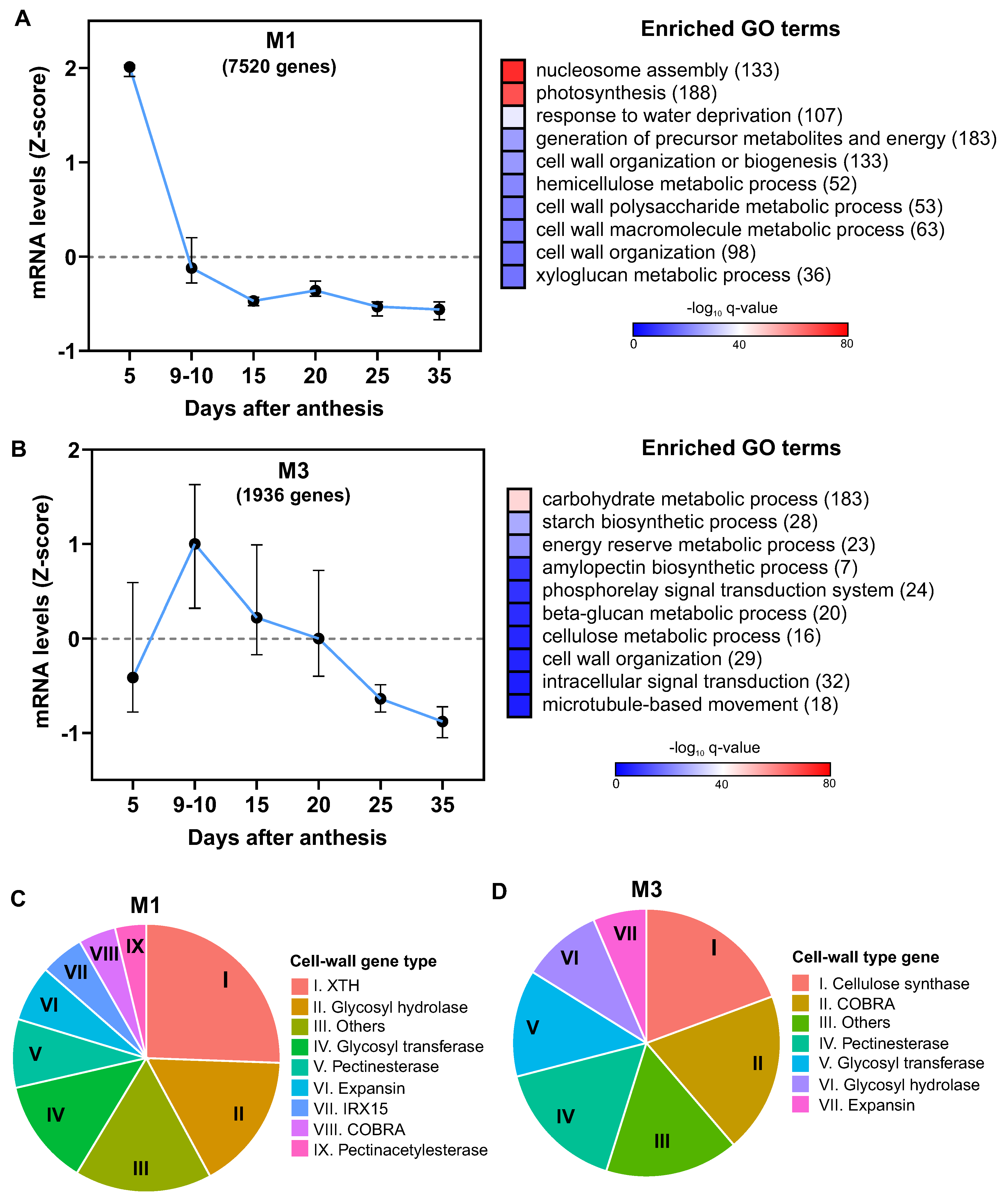 Preprints 79038 g005