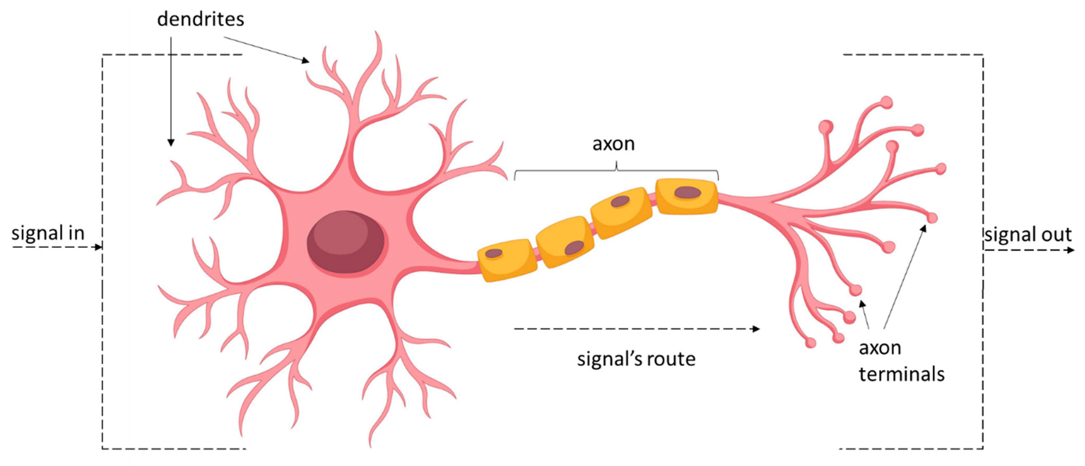 Preprints 79693 g002