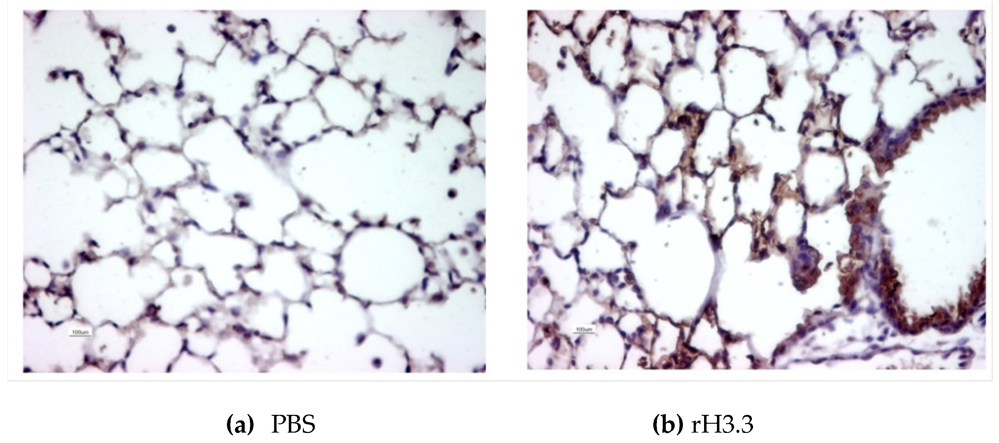 Preprints 73873 g001