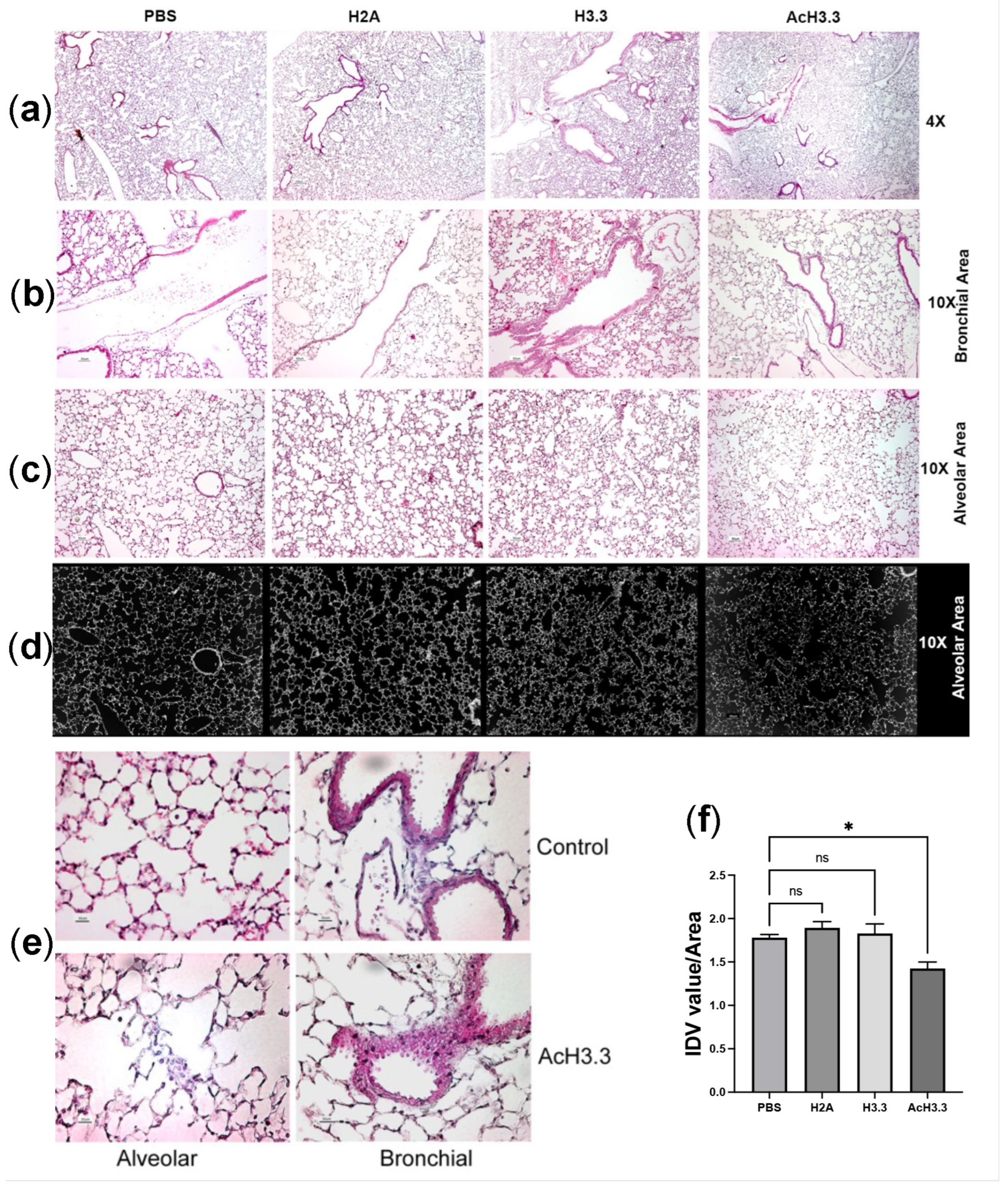 Preprints 73873 g002