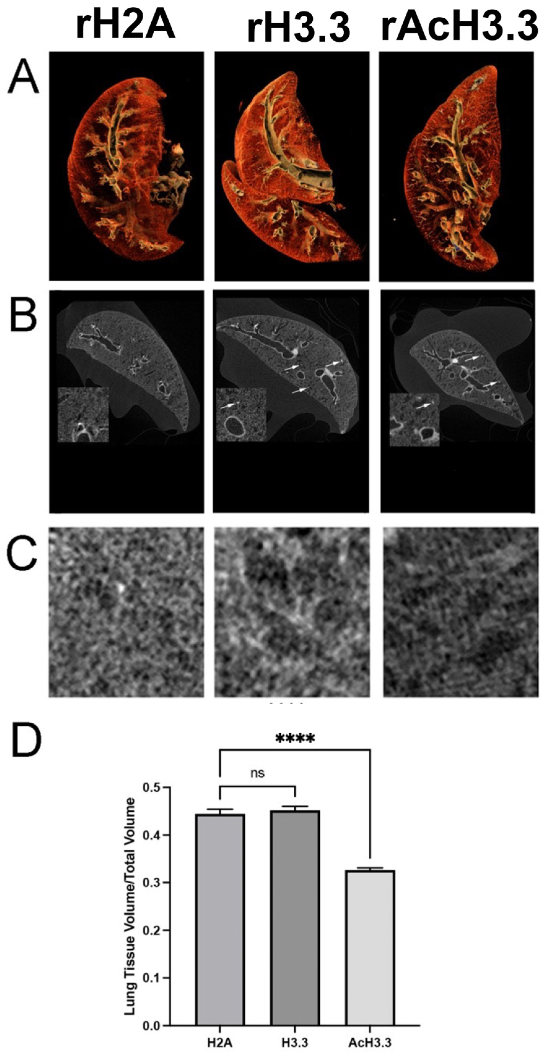 Preprints 73873 g003