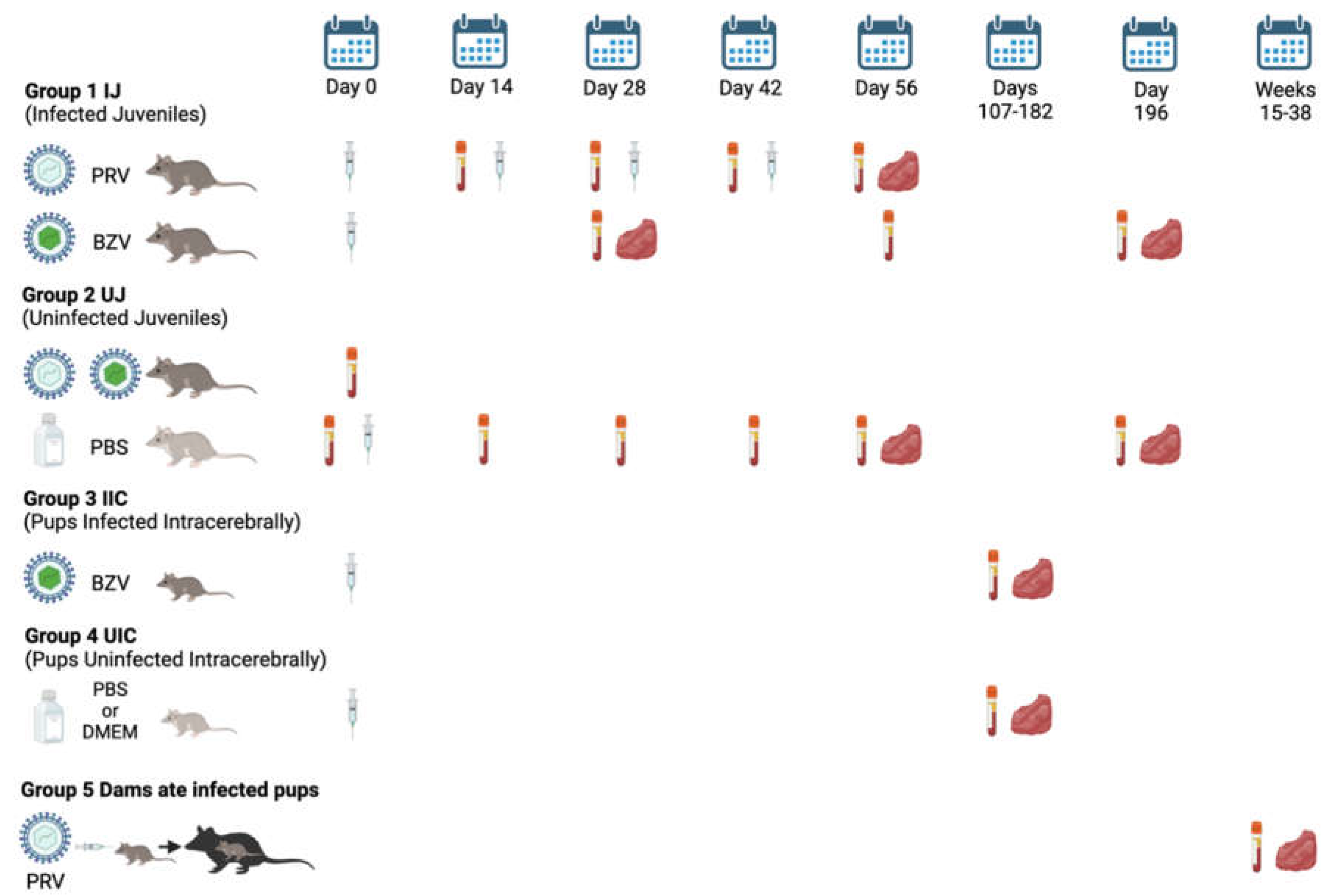 Preprints 114381 g001