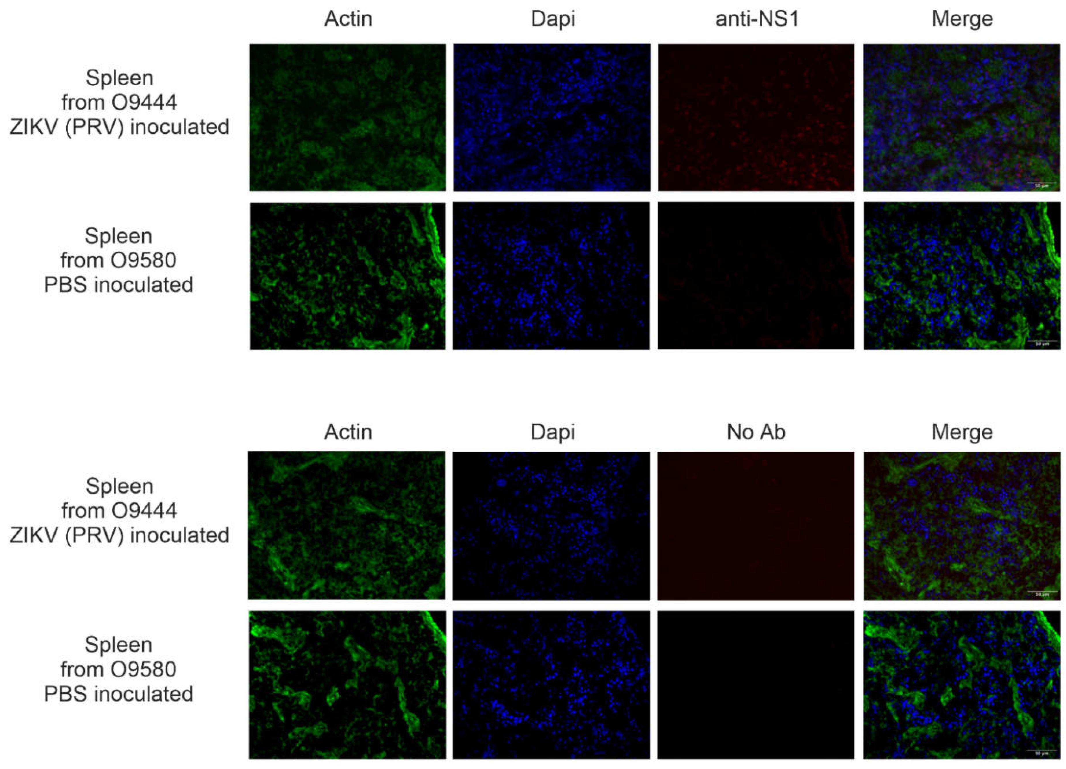 Preprints 114381 g006