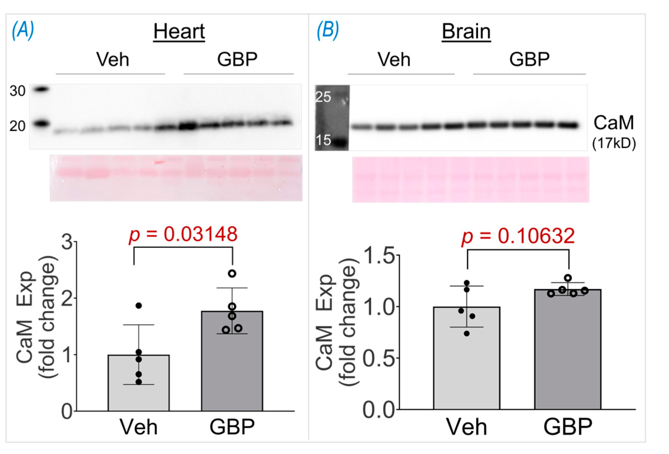 Preprints 87684 g006