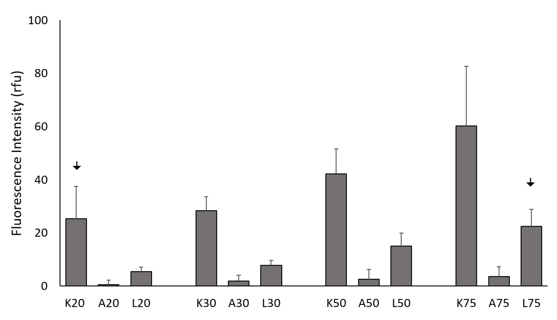 Preprints 105678 g001