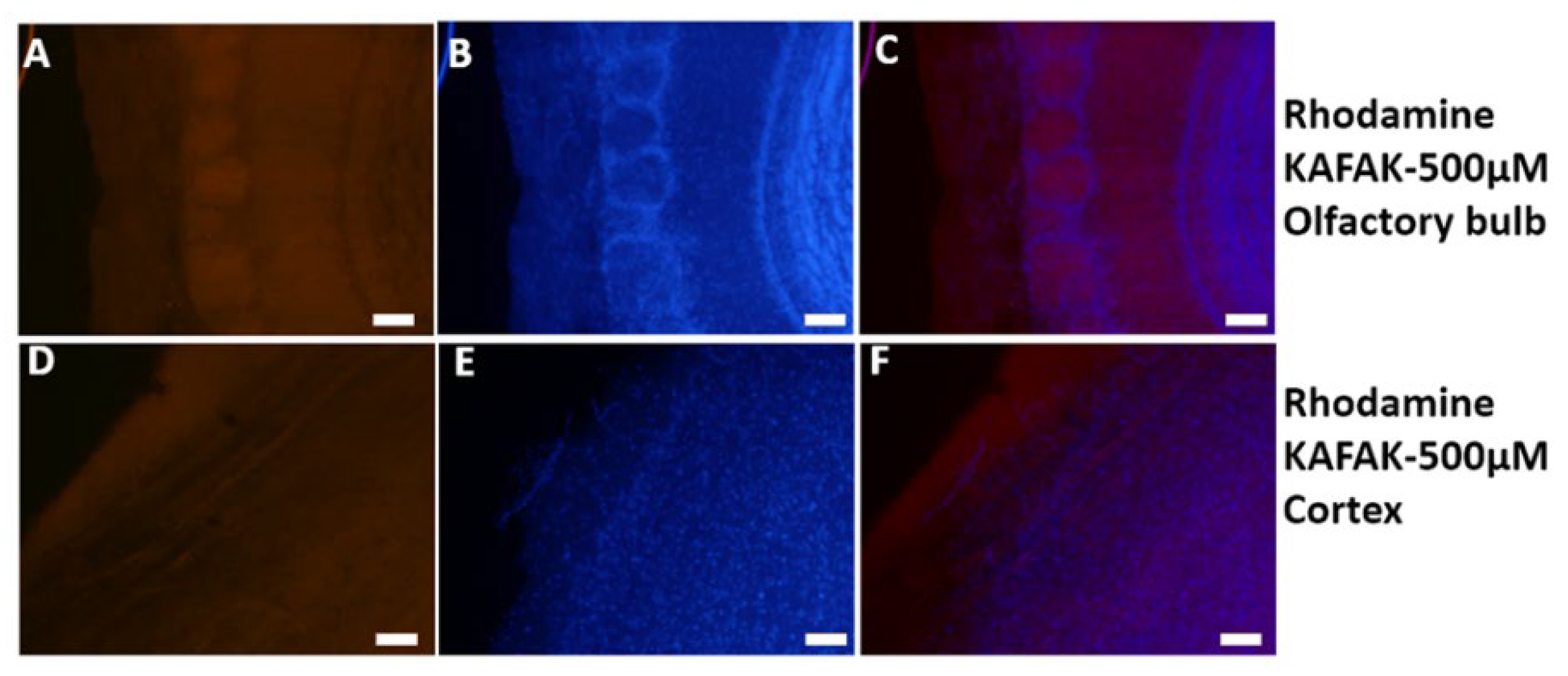 Preprints 105678 g003