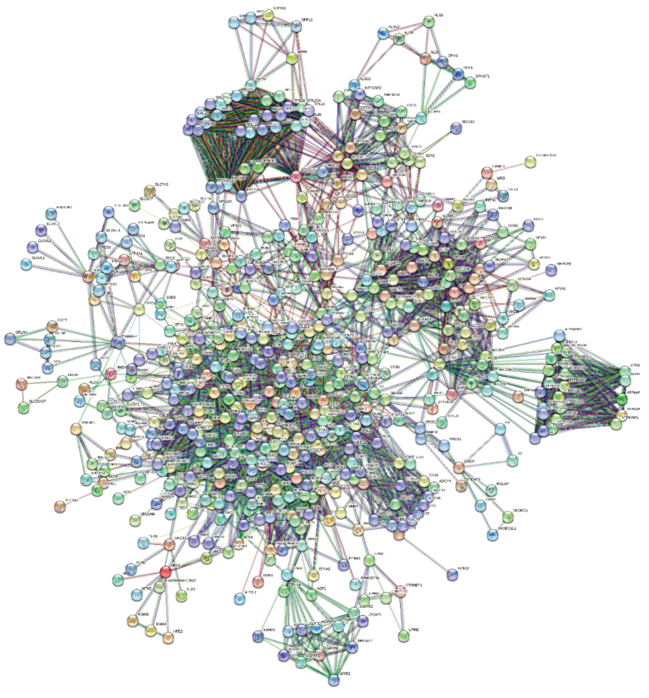 Preprints 99914 g002