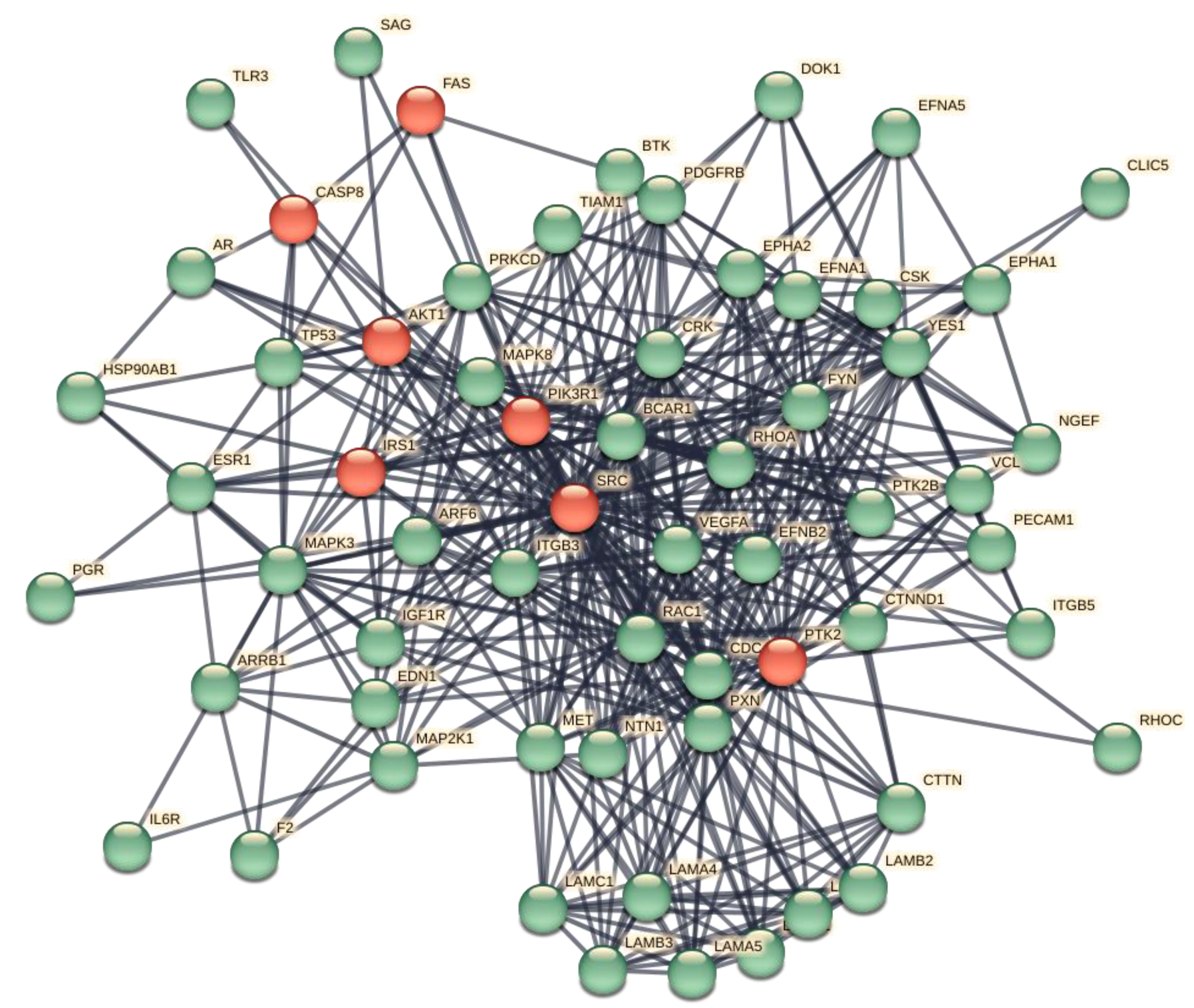 Preprints 99914 g009