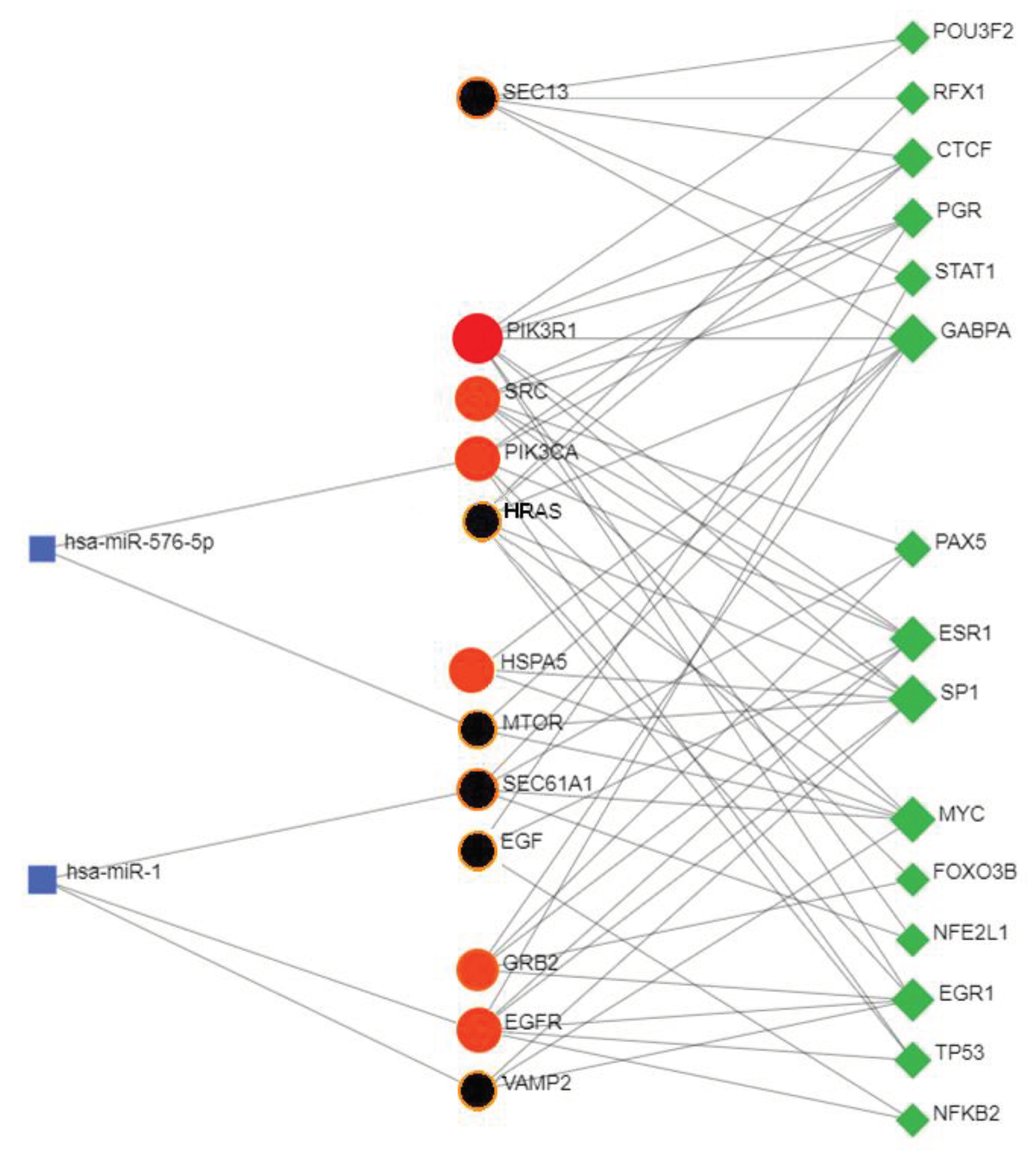 Preprints 99914 g011