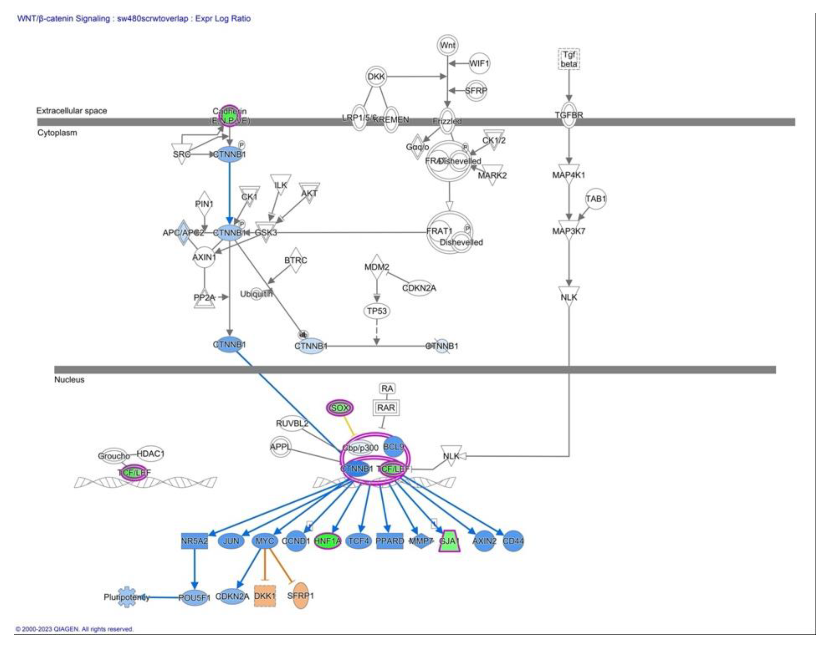 Preprints 85153 g003