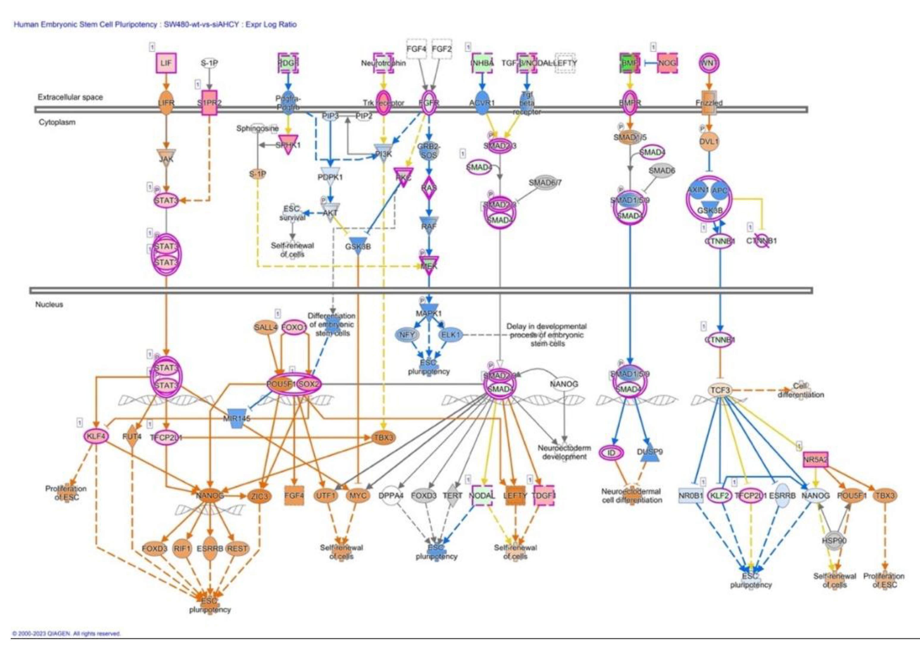 Preprints 85153 g005a