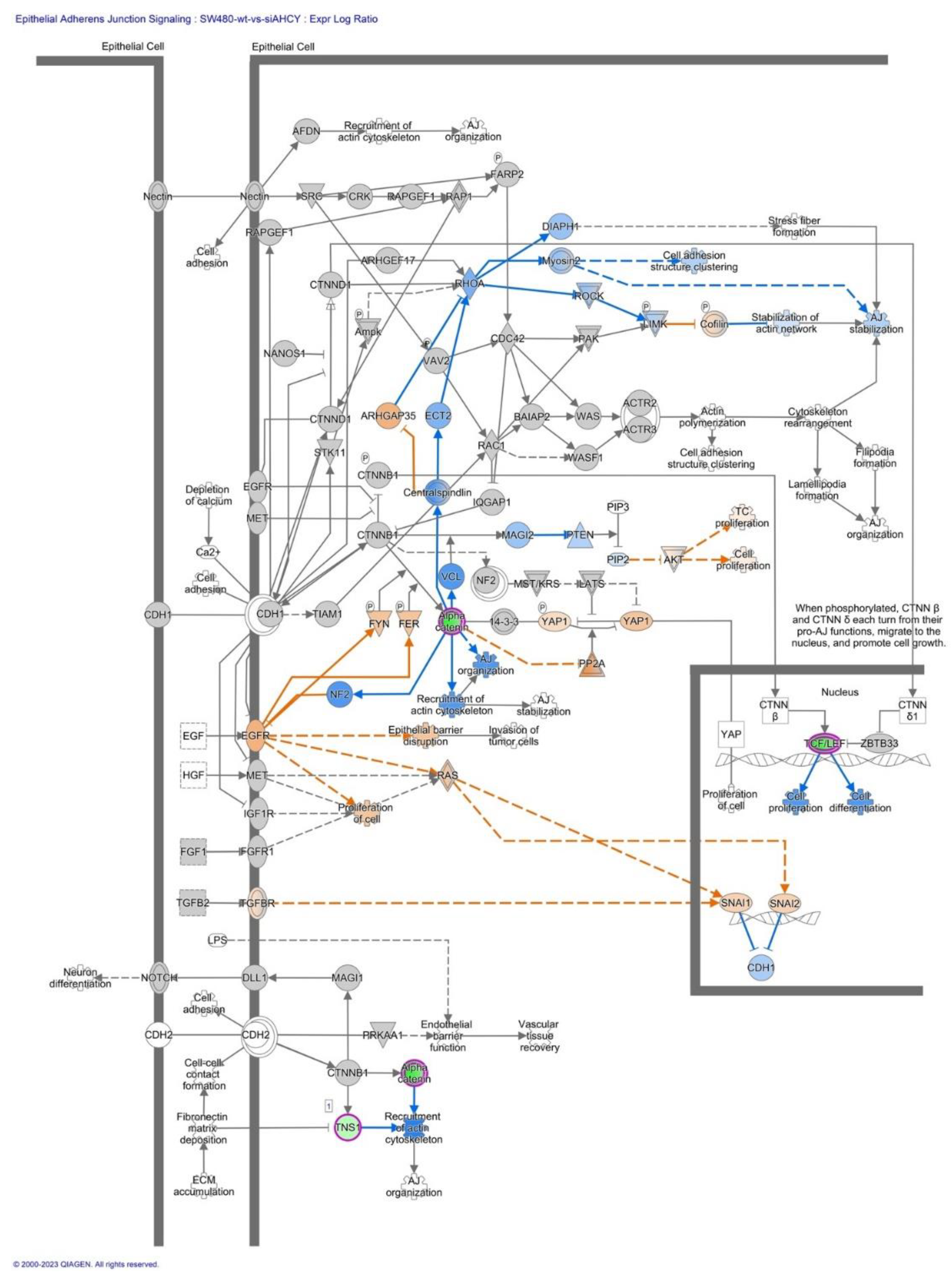 Preprints 85153 g005b