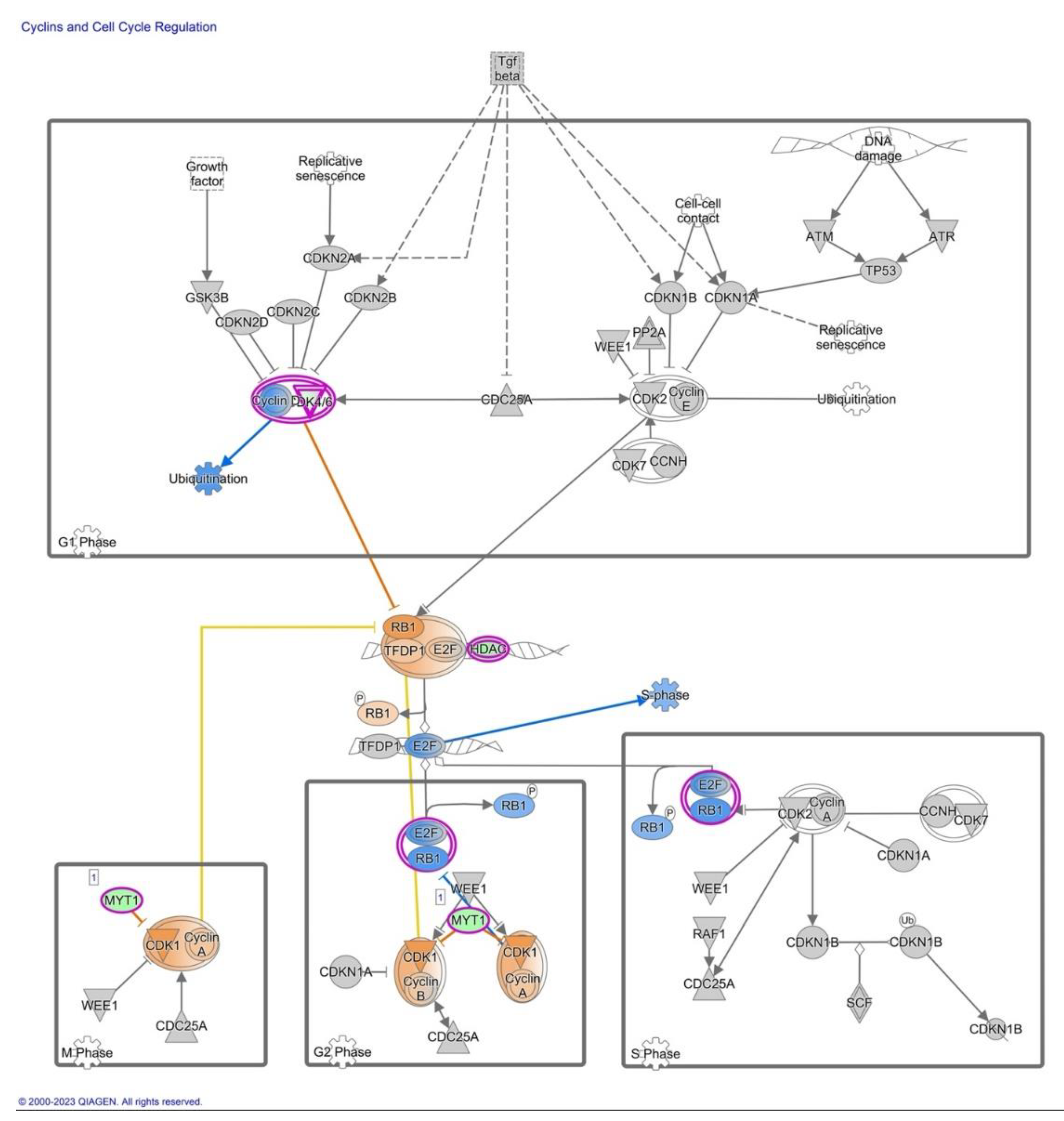 Preprints 85153 g006