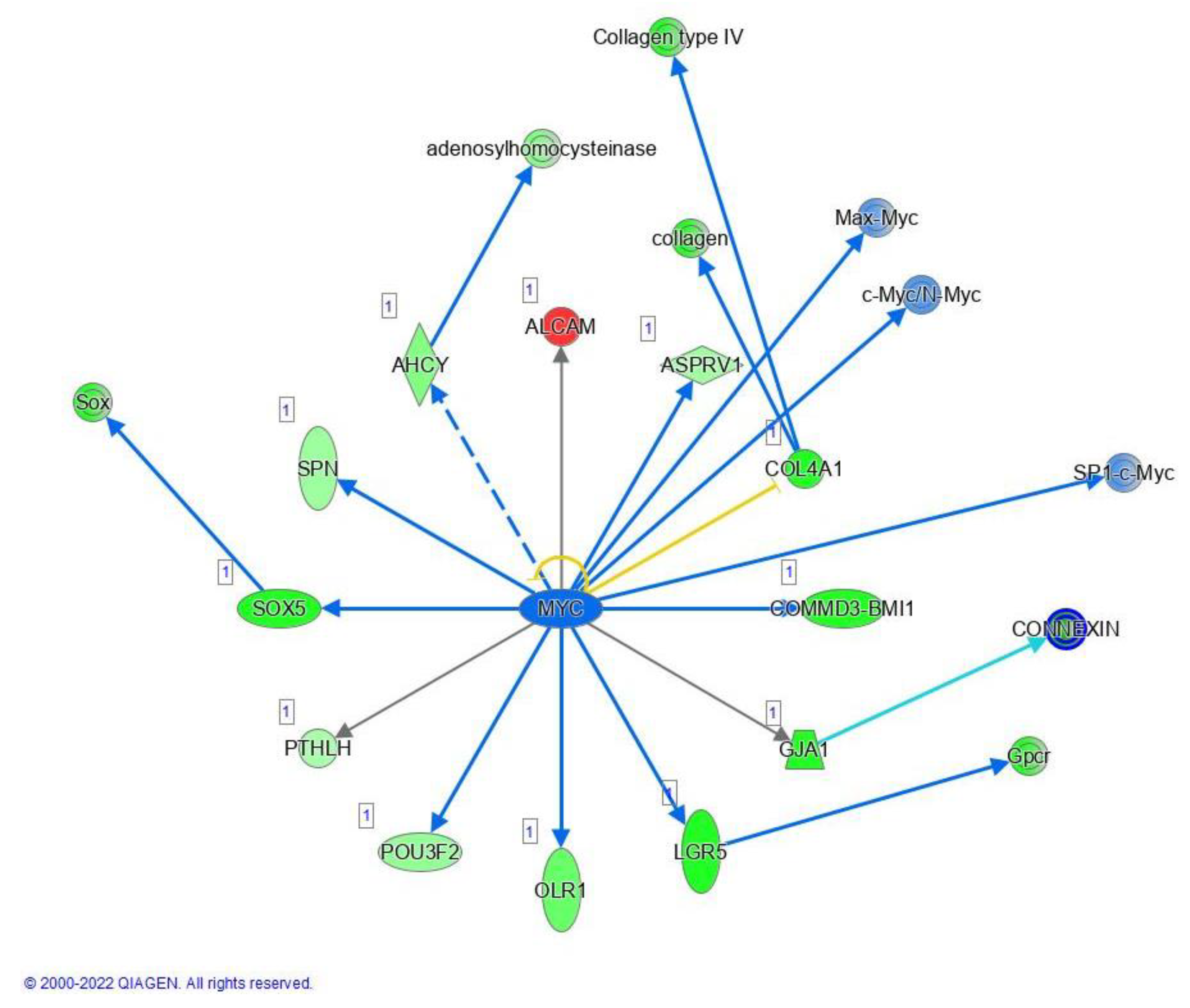 Preprints 85153 g007