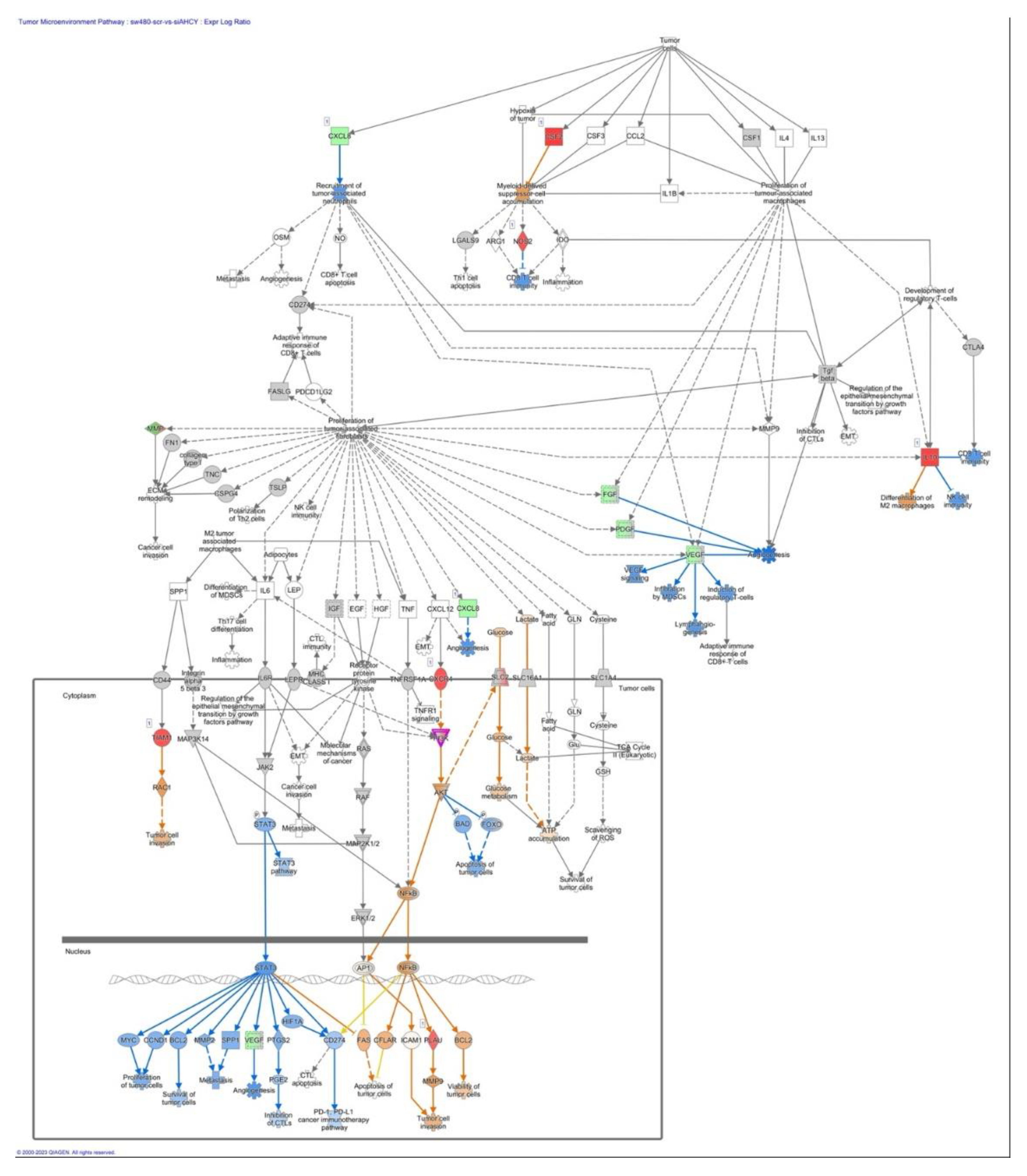 Preprints 85153 g008