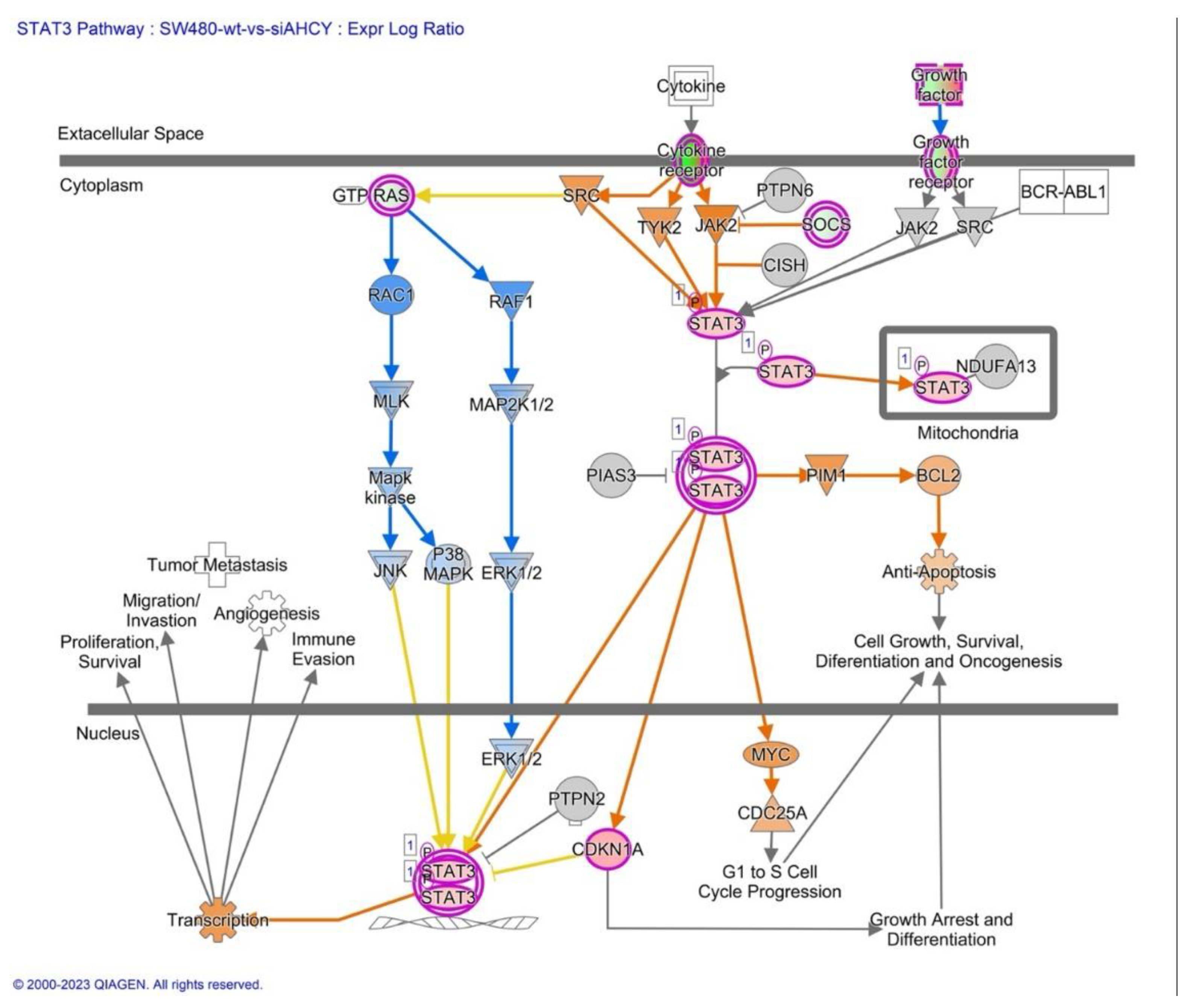 Preprints 85153 g009