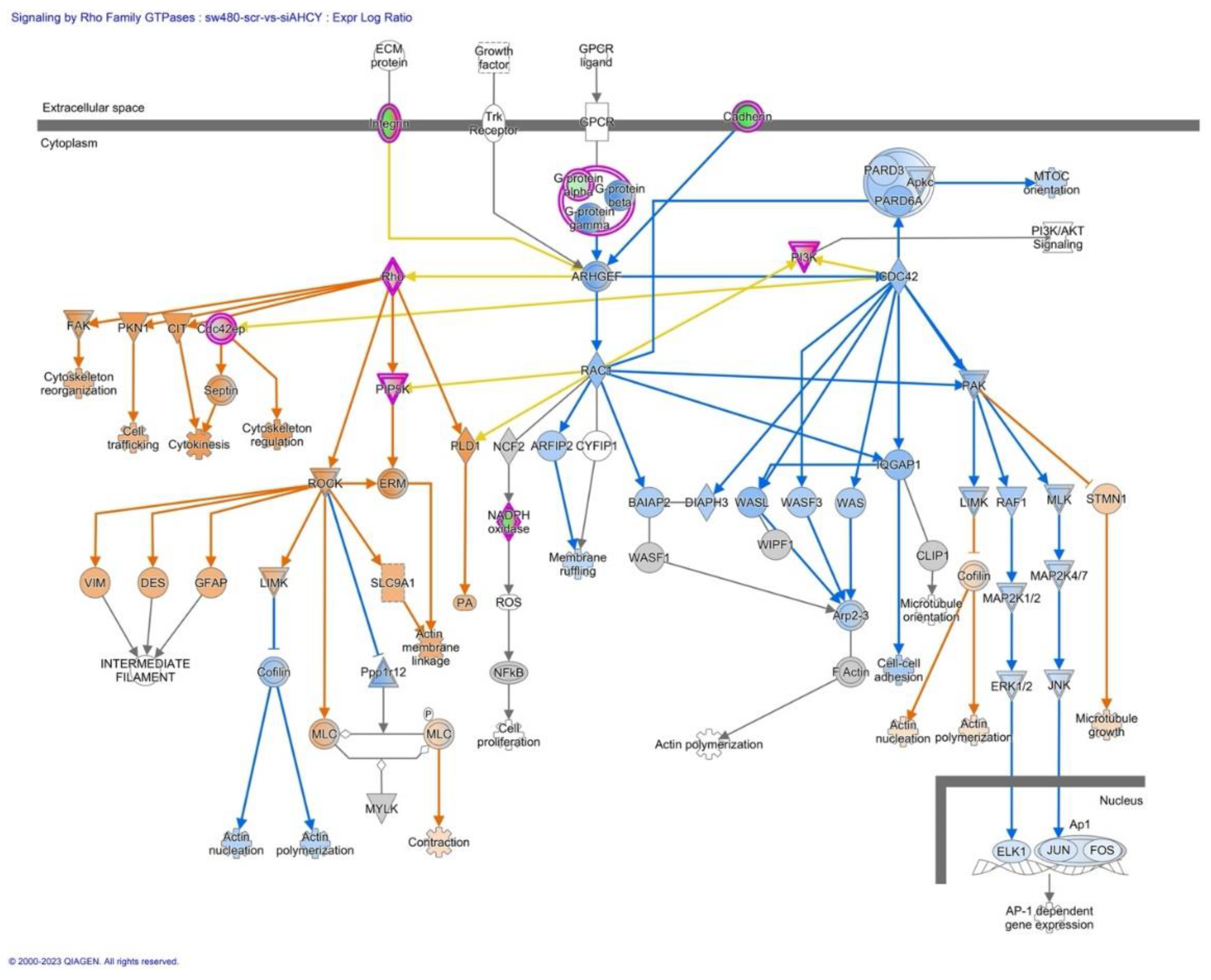 Preprints 85153 g011