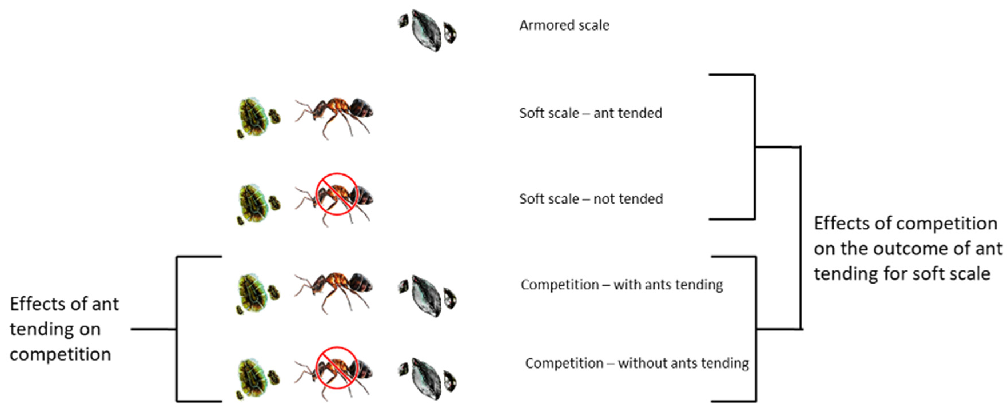 Preprints 80439 g001