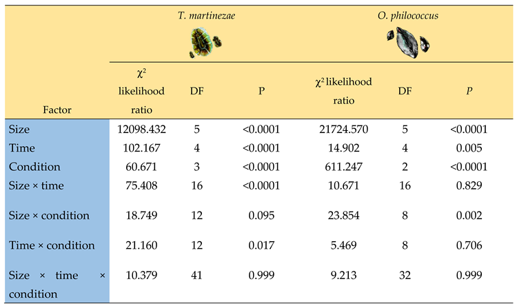 Preprints 80439 i002