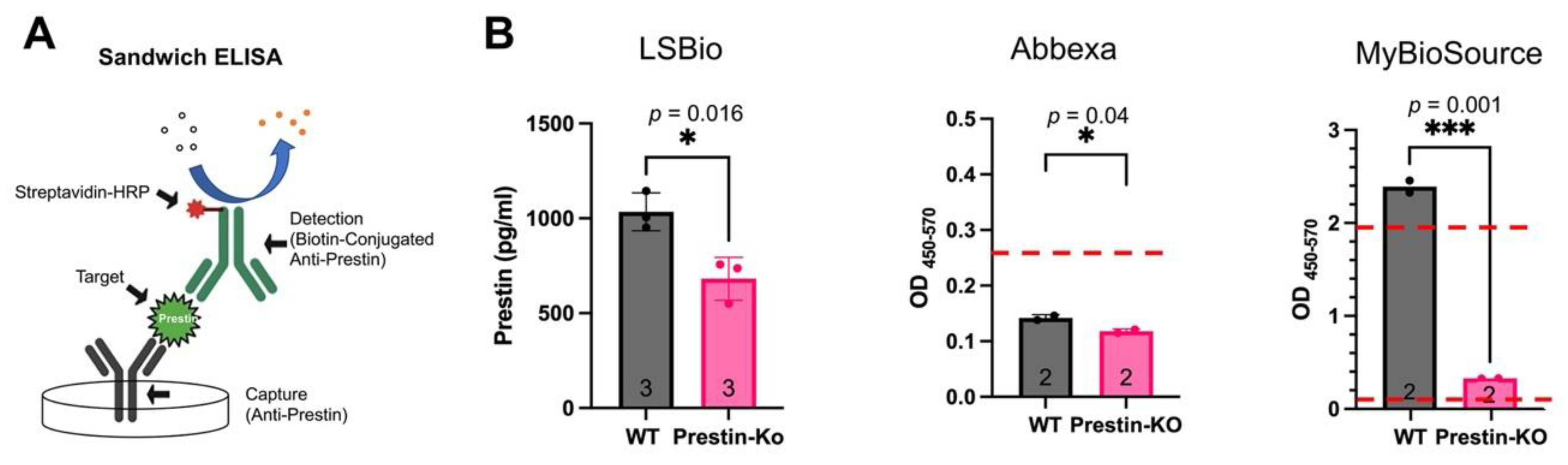 Preprints 106284 g002