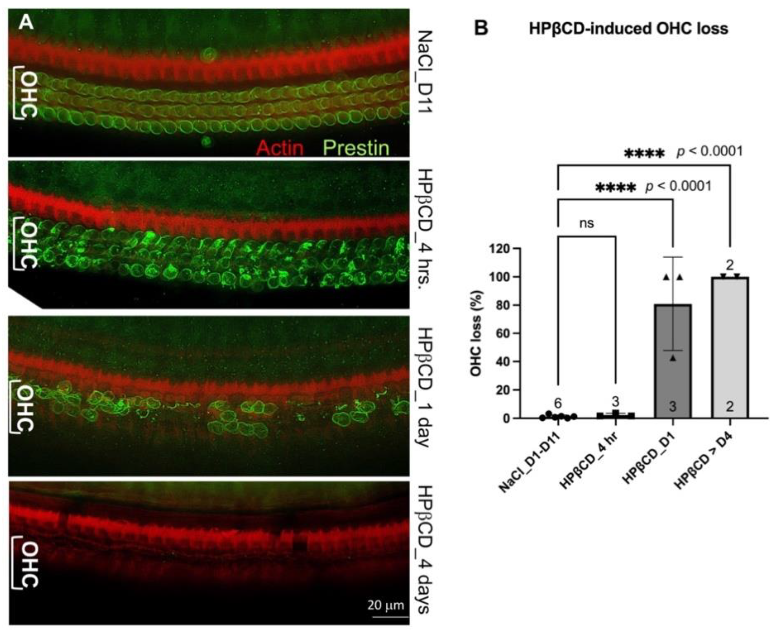 Preprints 106284 g003