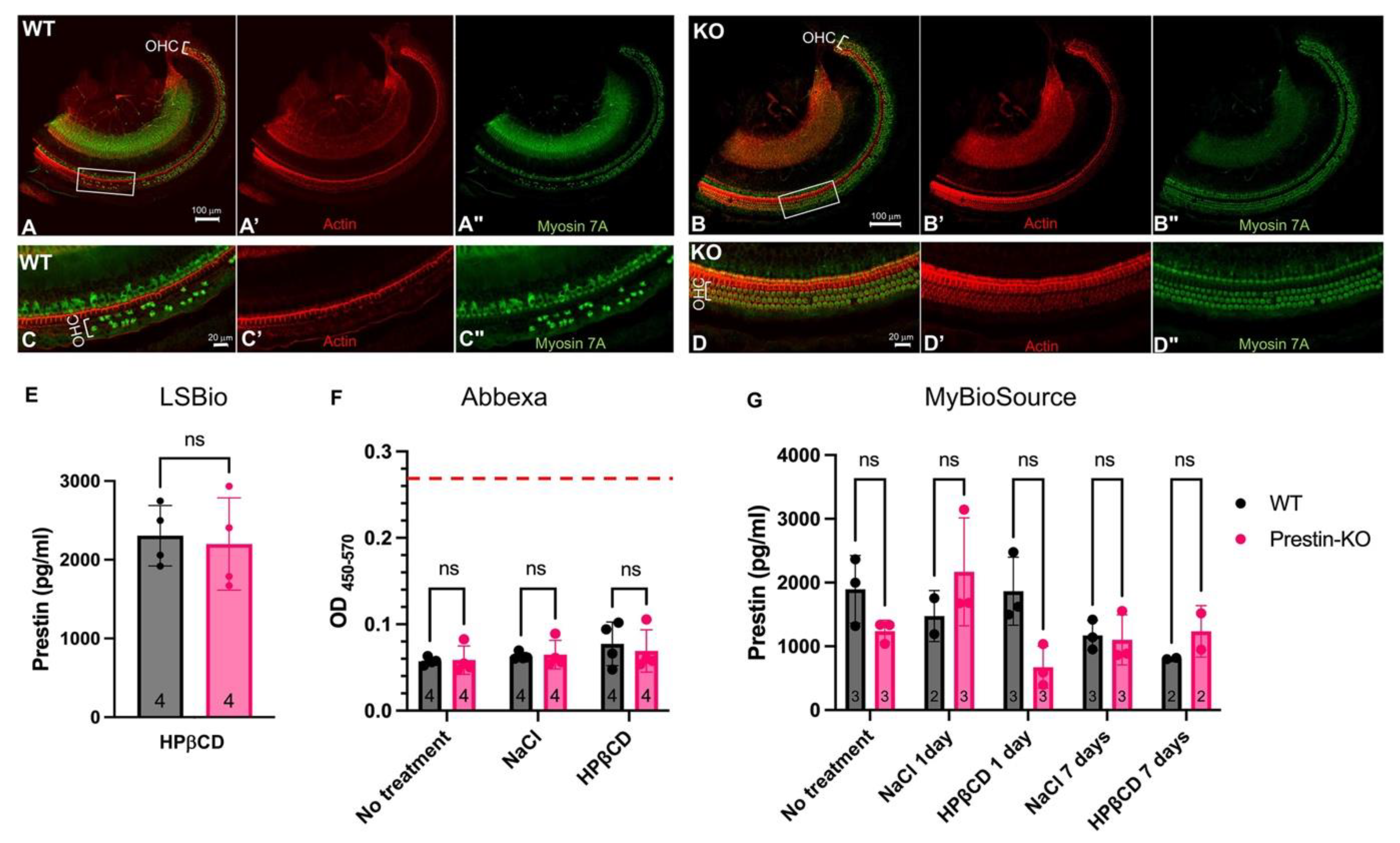 Preprints 106284 g004