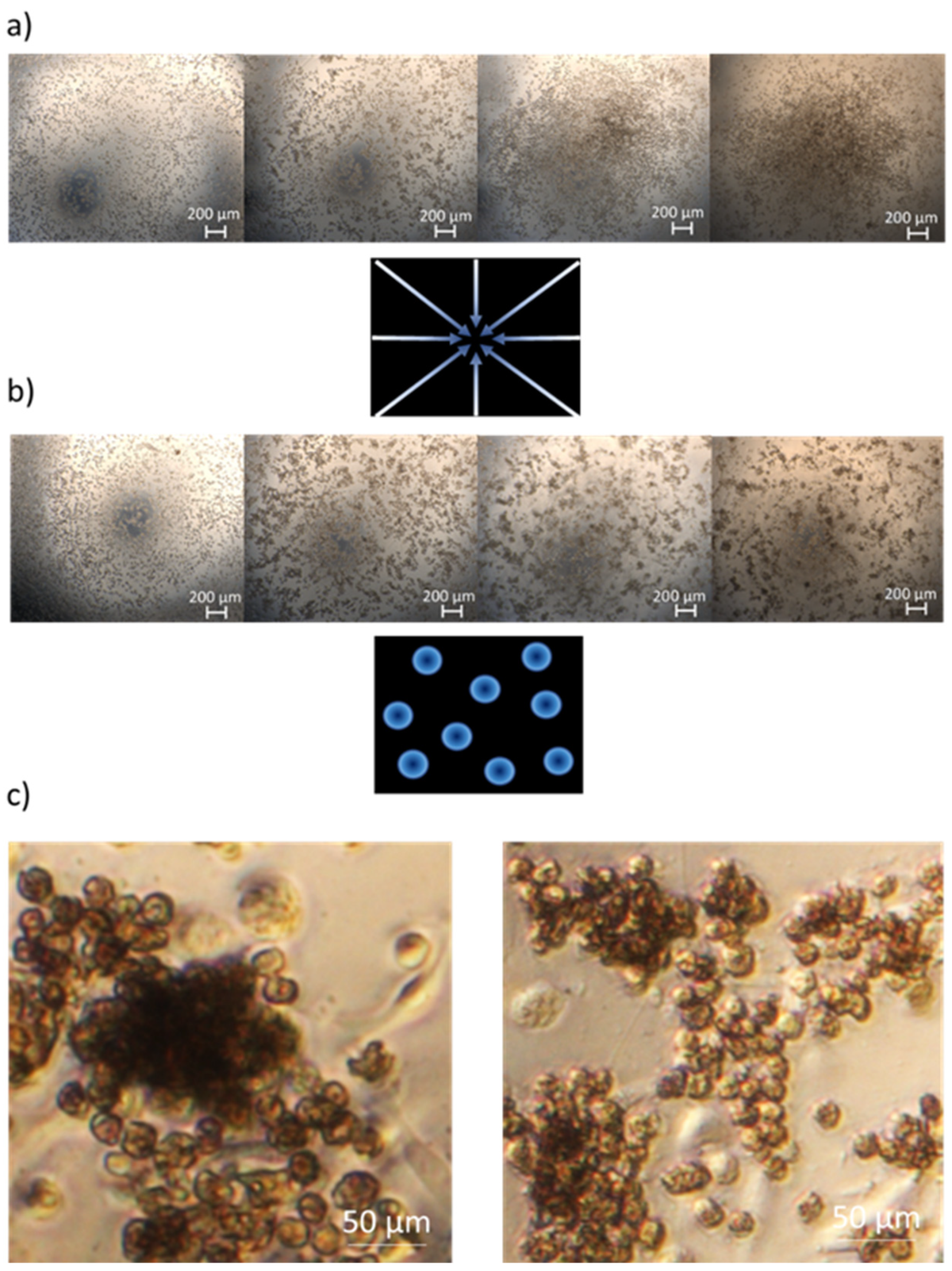 Preprints 103015 g002