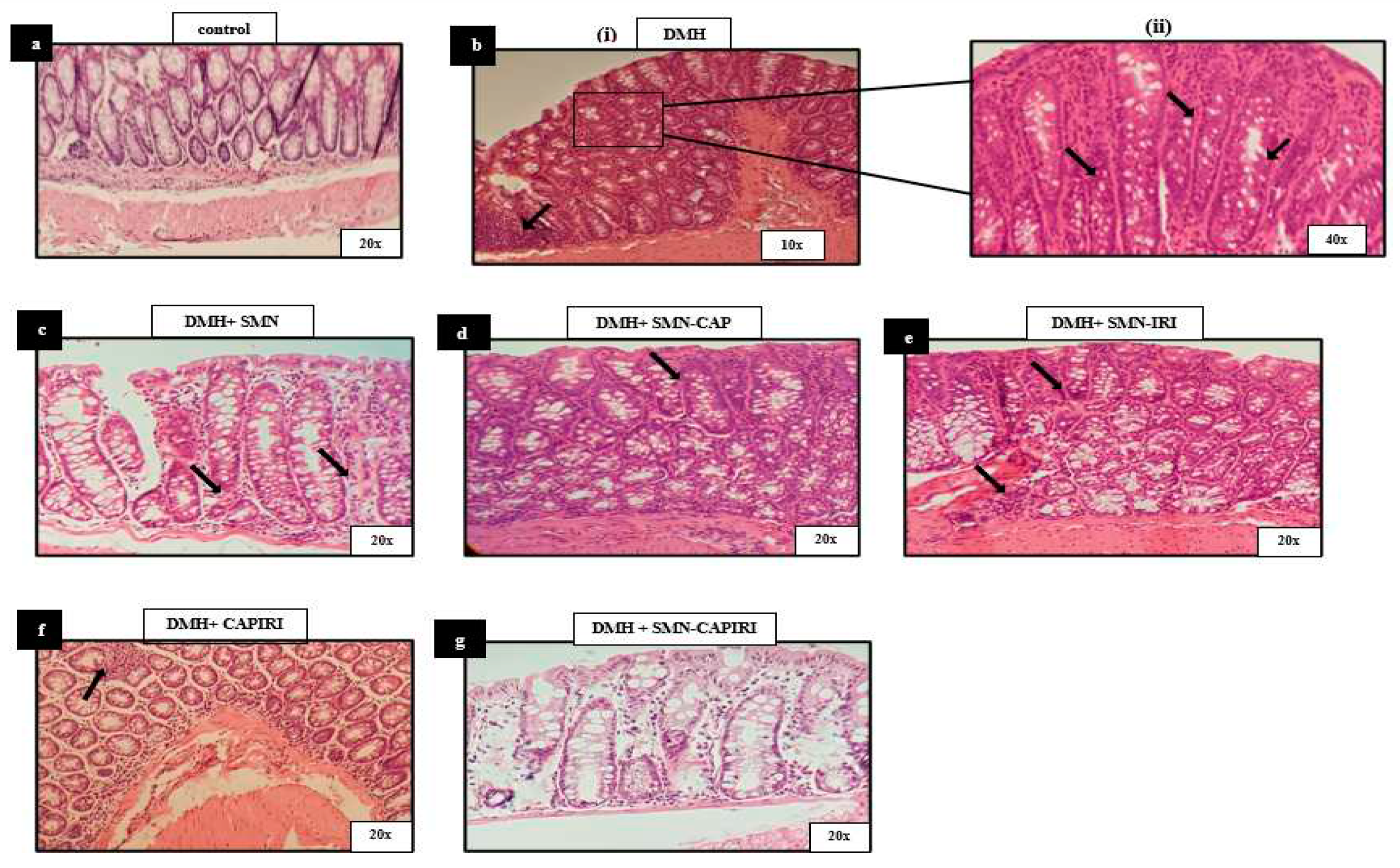 Preprints 97578 g005