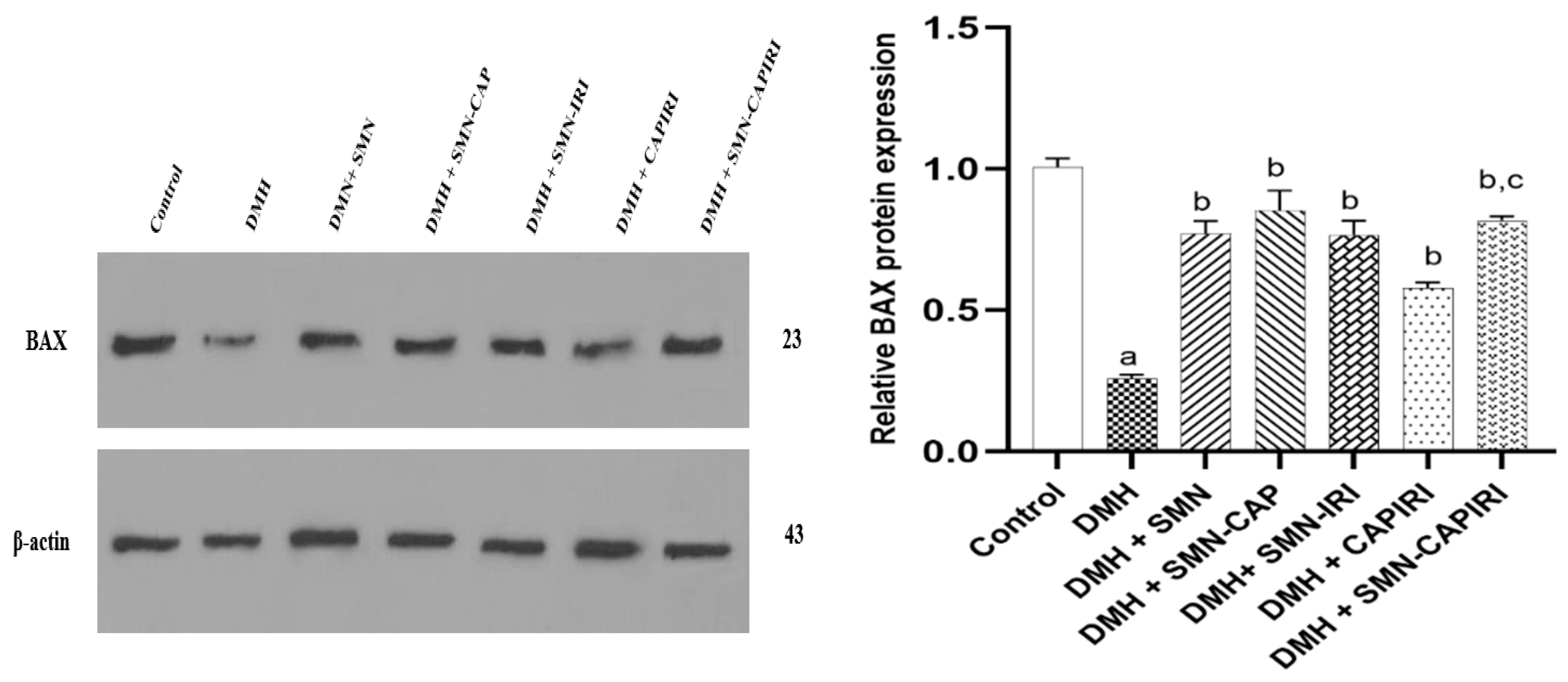 Preprints 97578 g006