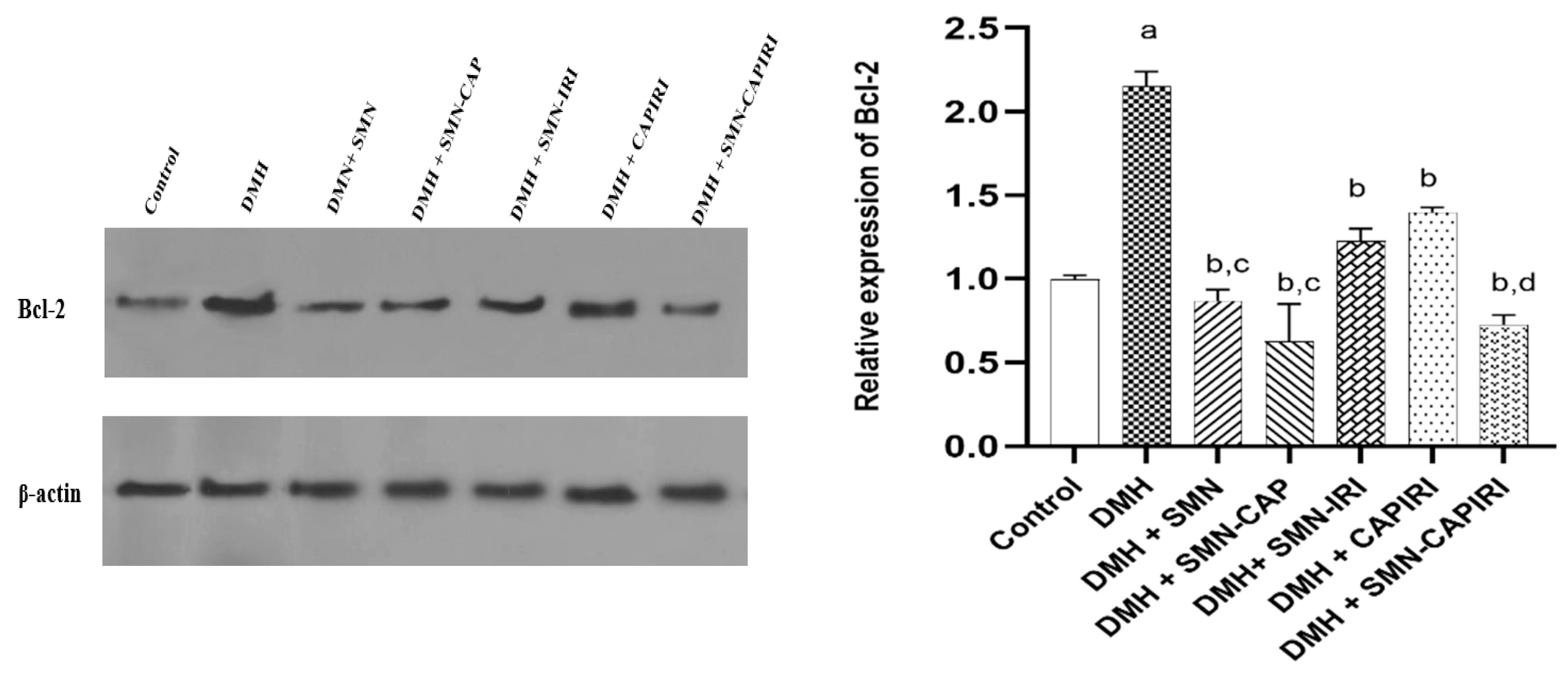 Preprints 97578 g007