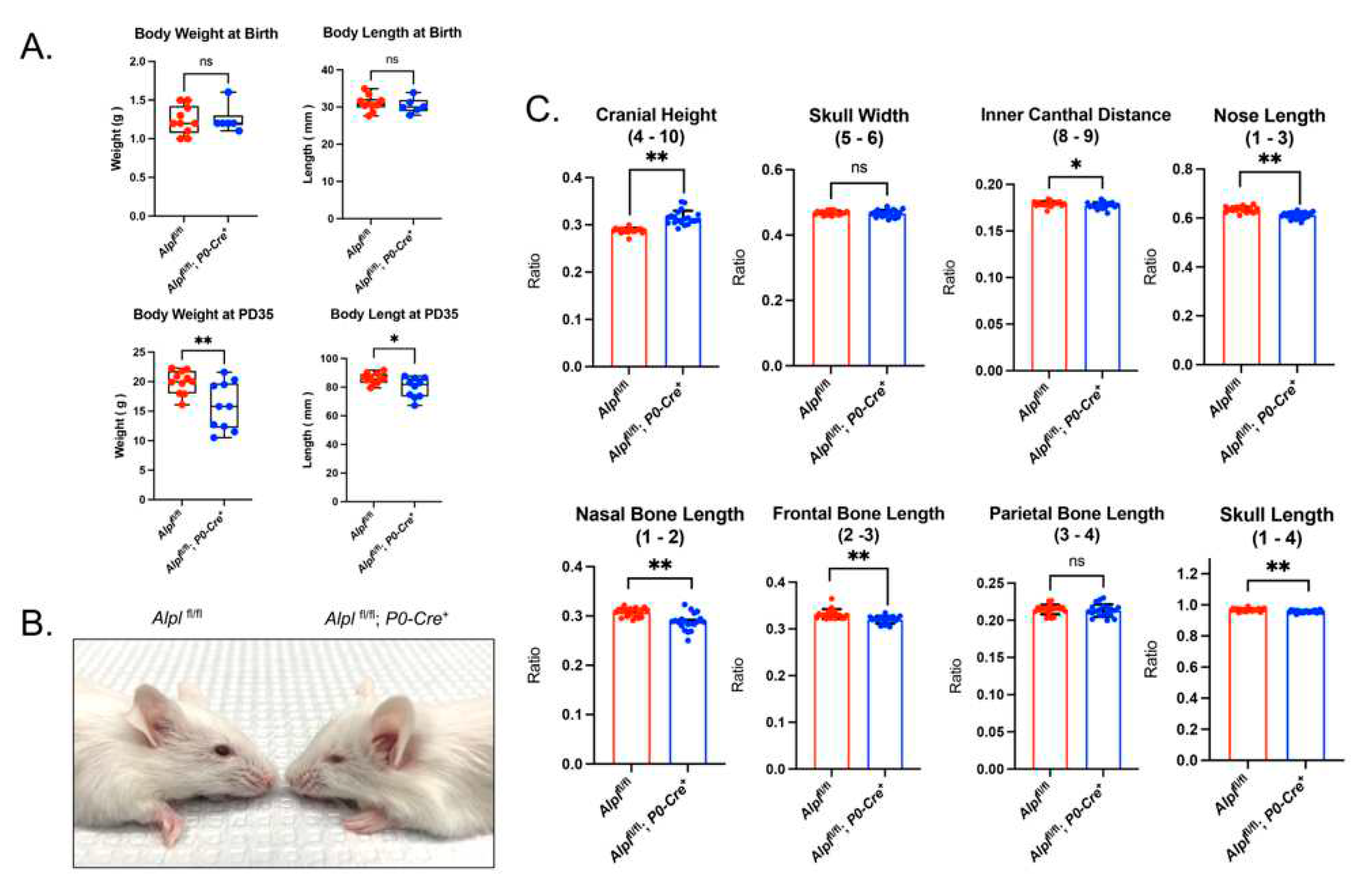 Preprints 83384 g001