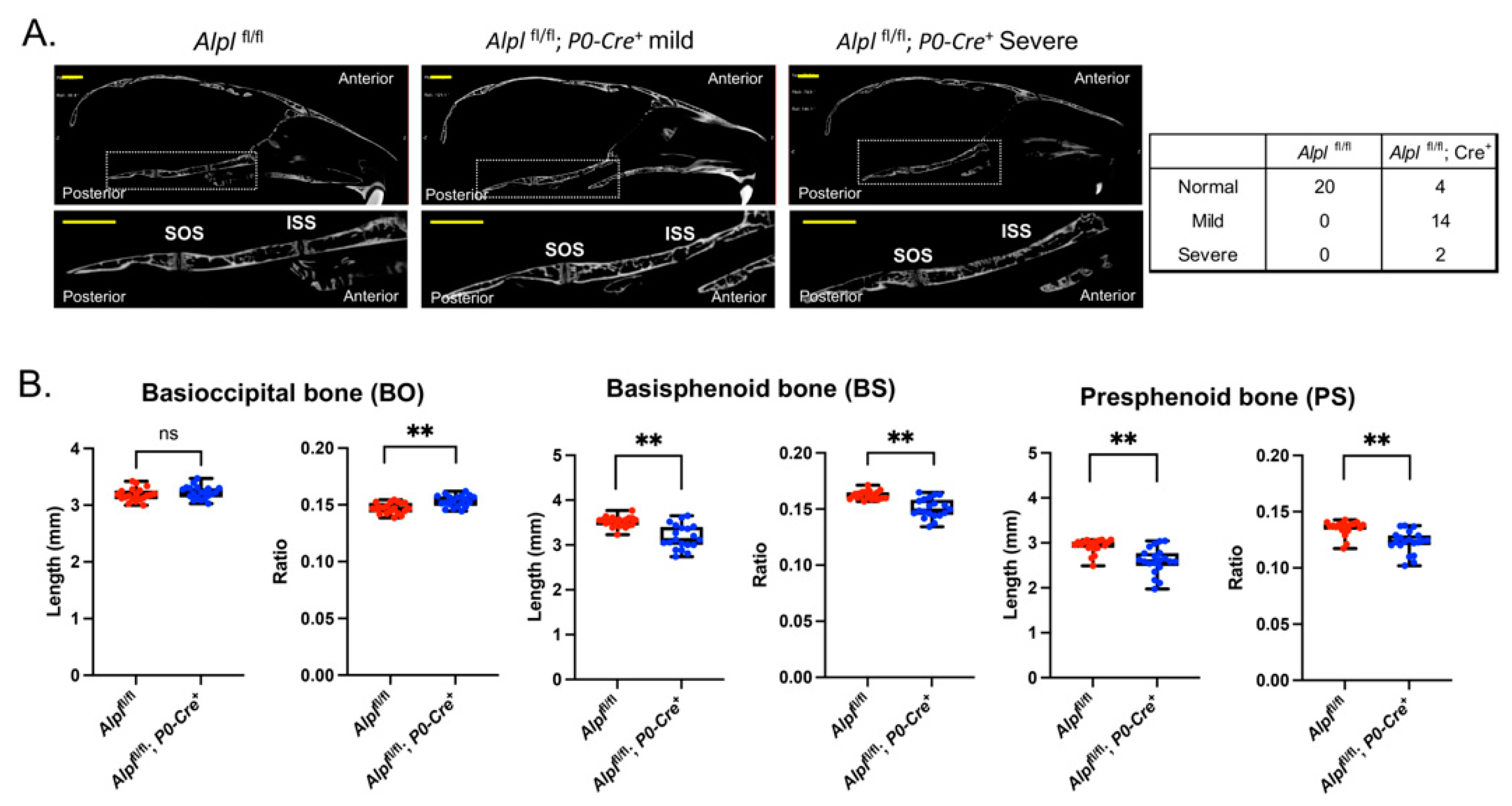 Preprints 83384 g002