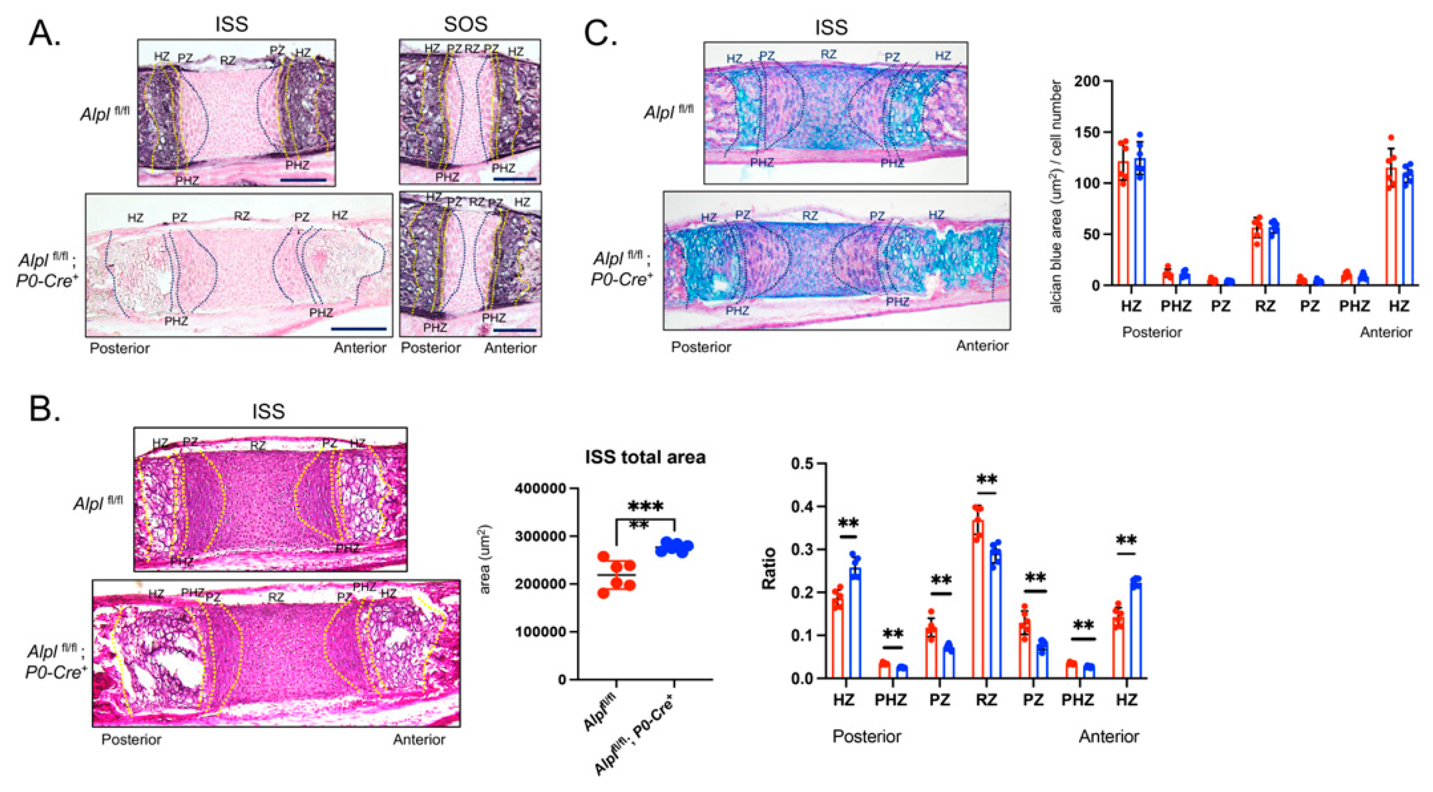 Preprints 83384 g003