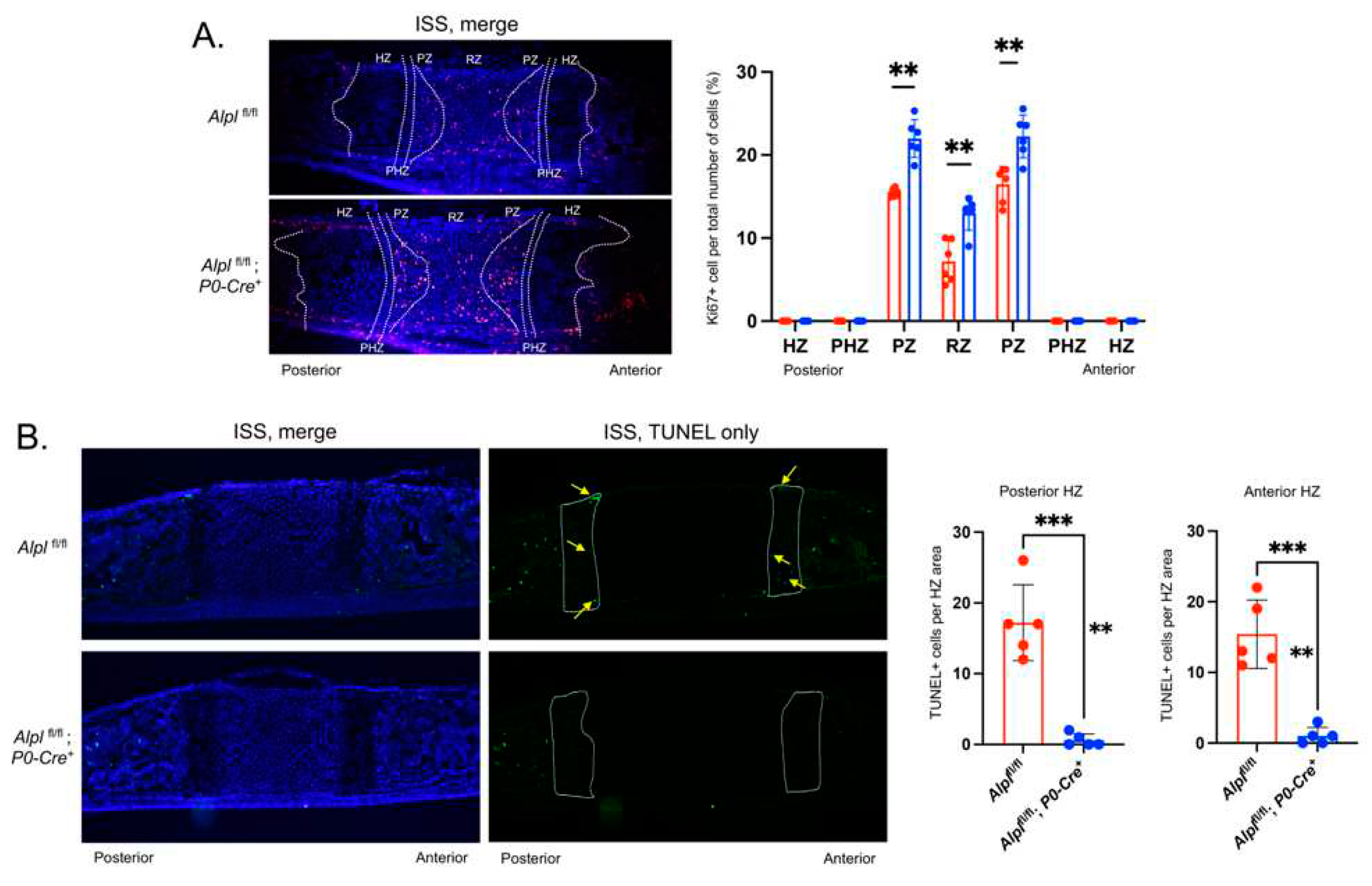 Preprints 83384 g004