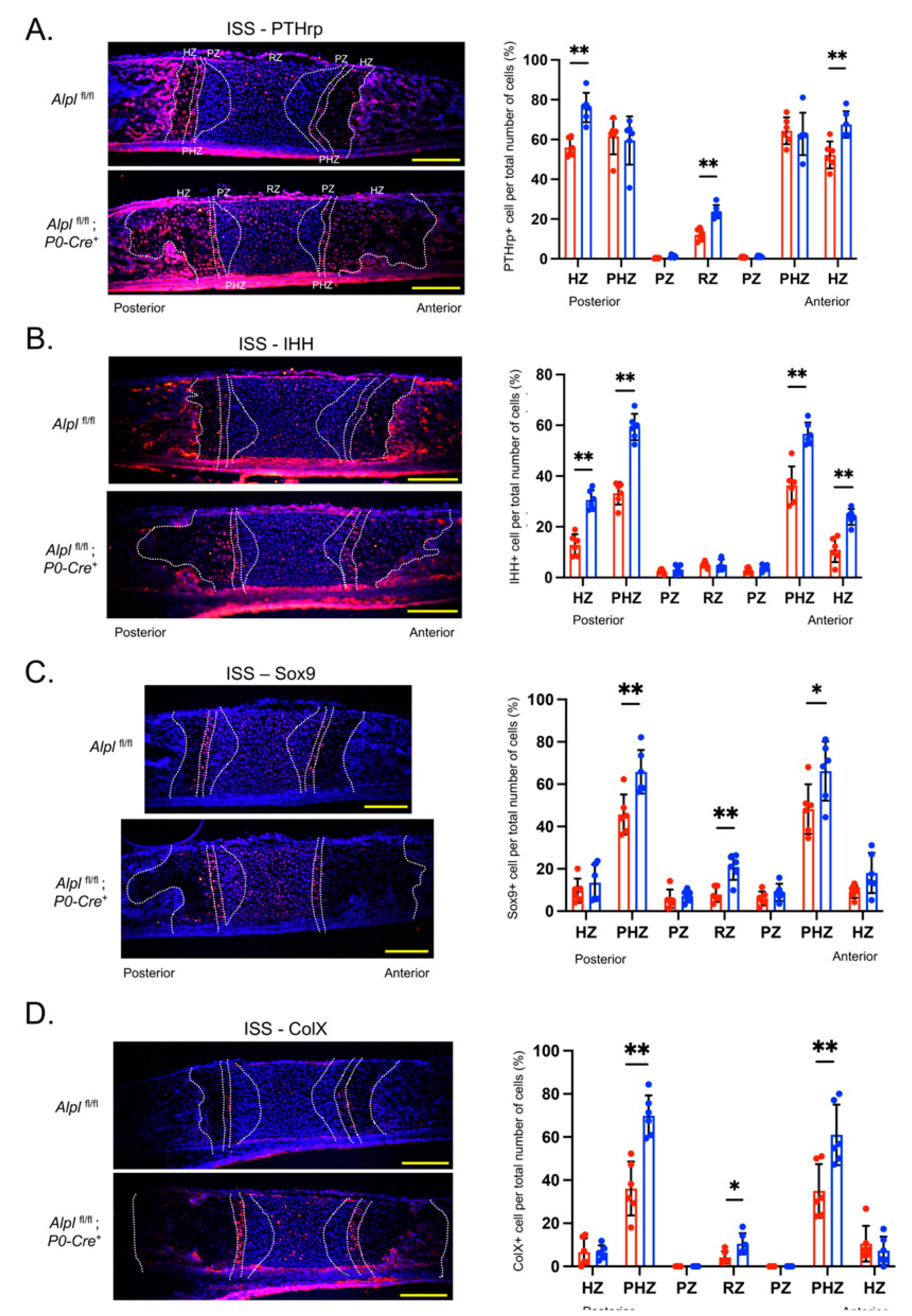 Preprints 83384 g005