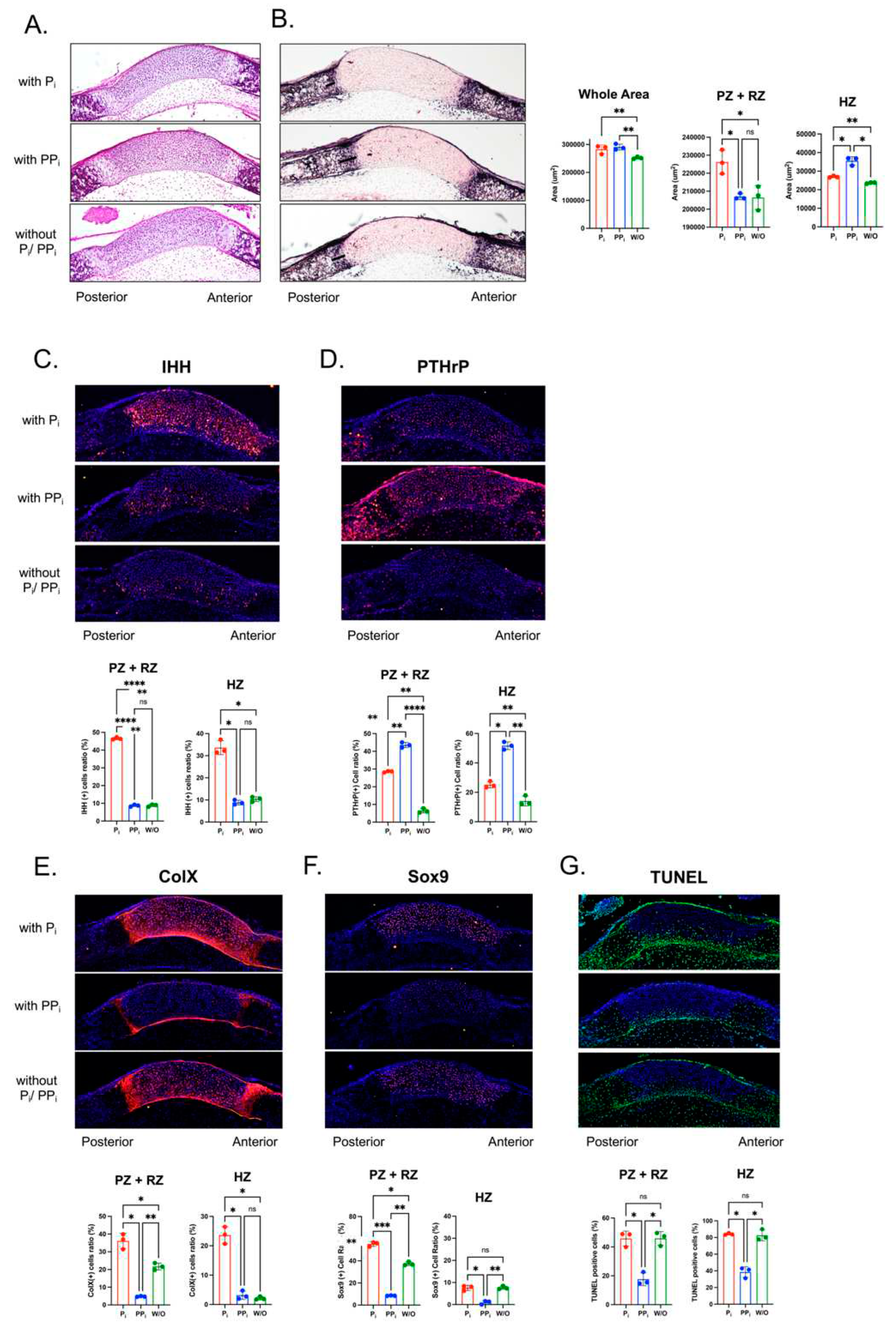 Preprints 83384 g006