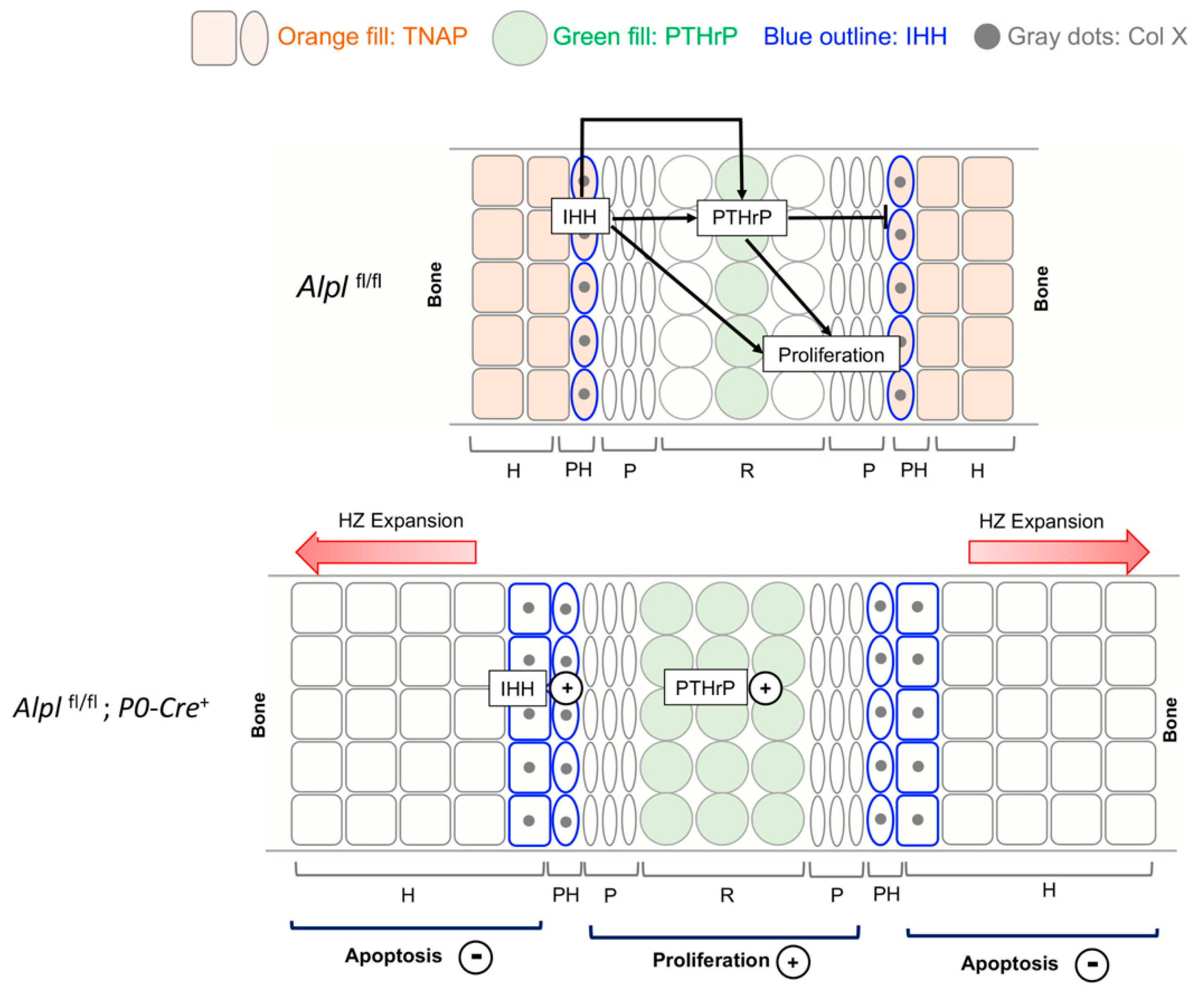 Preprints 83384 g008