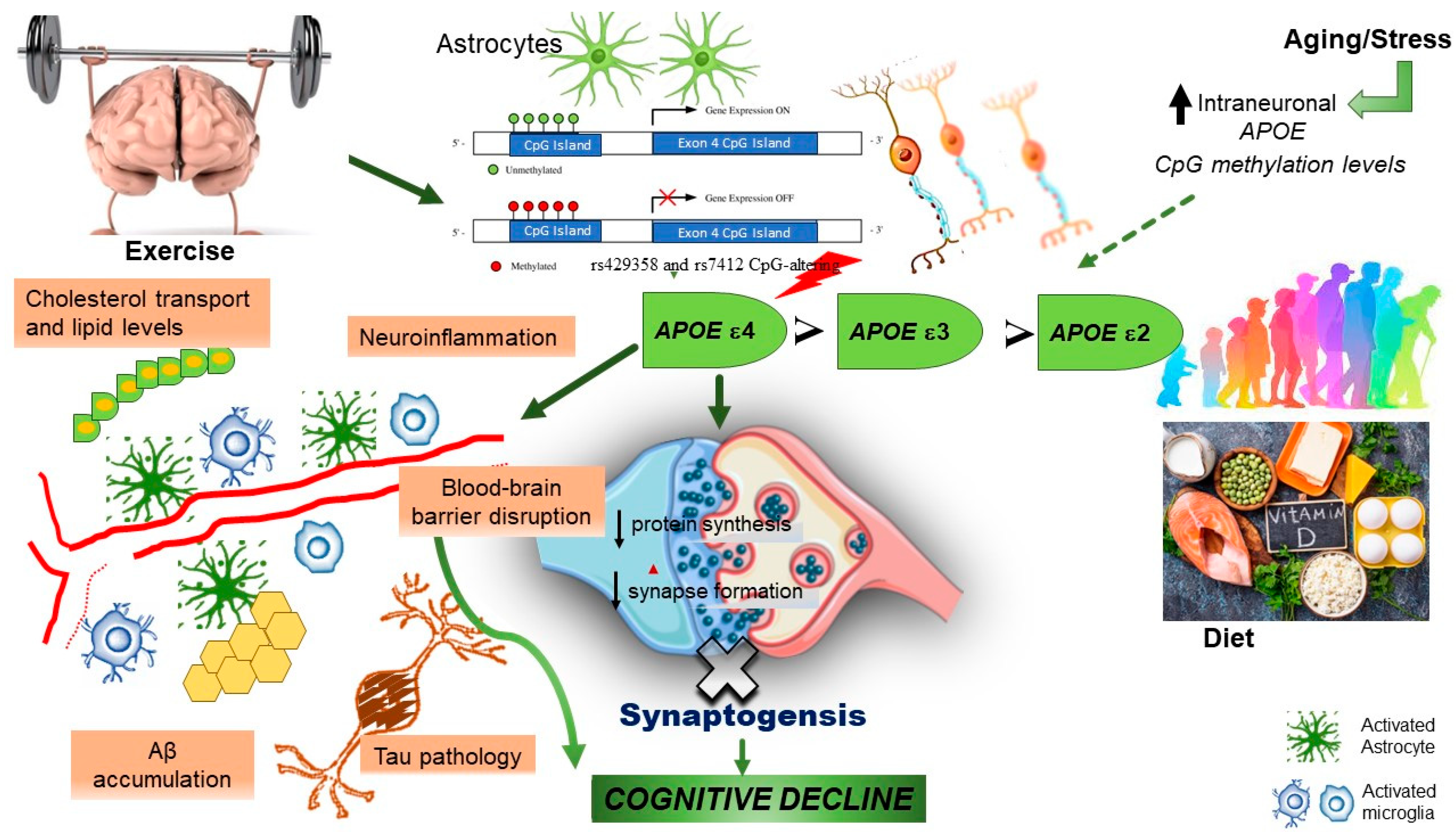 Preprints 89512 g001