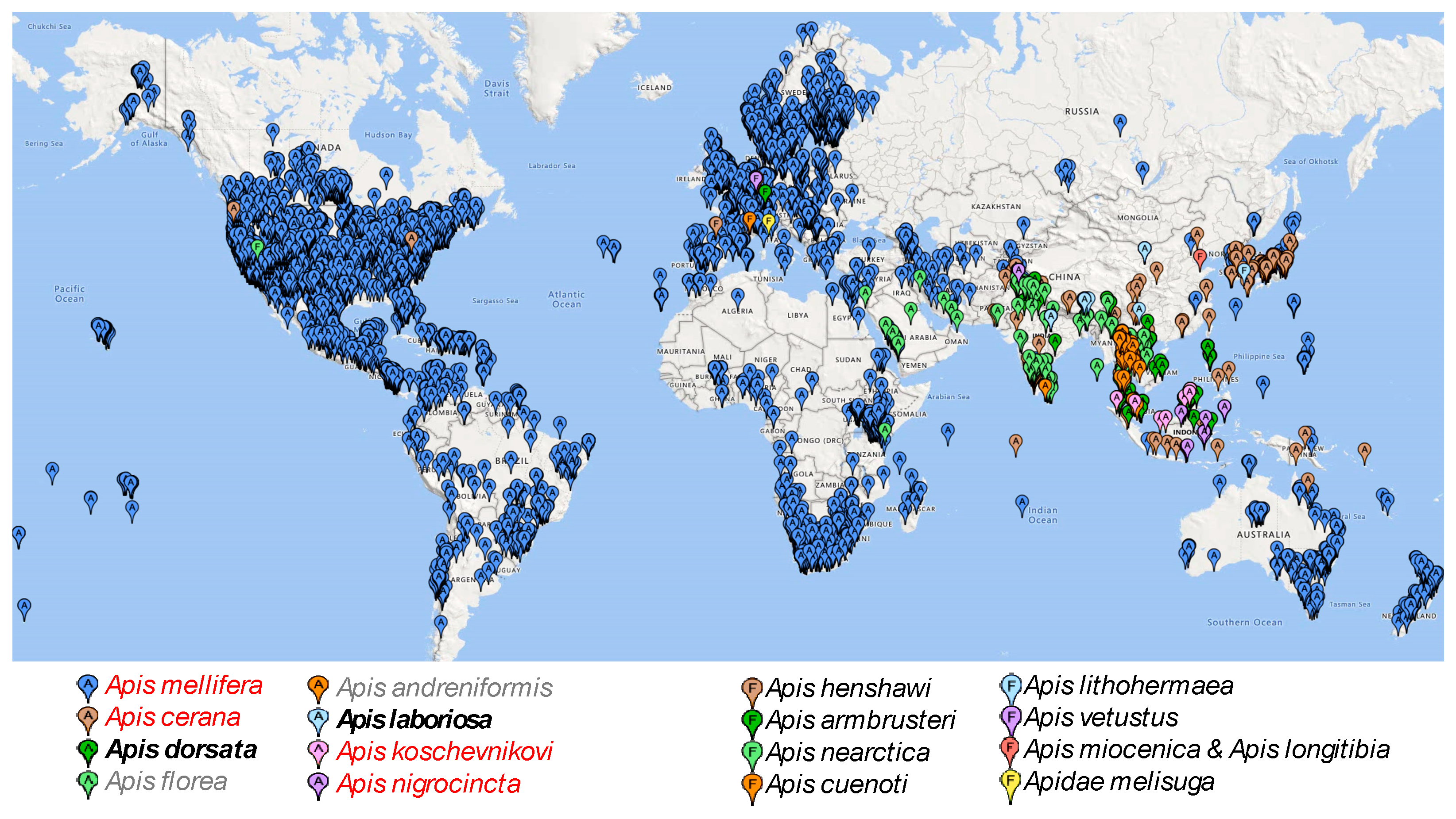 Preprints 117024 g002