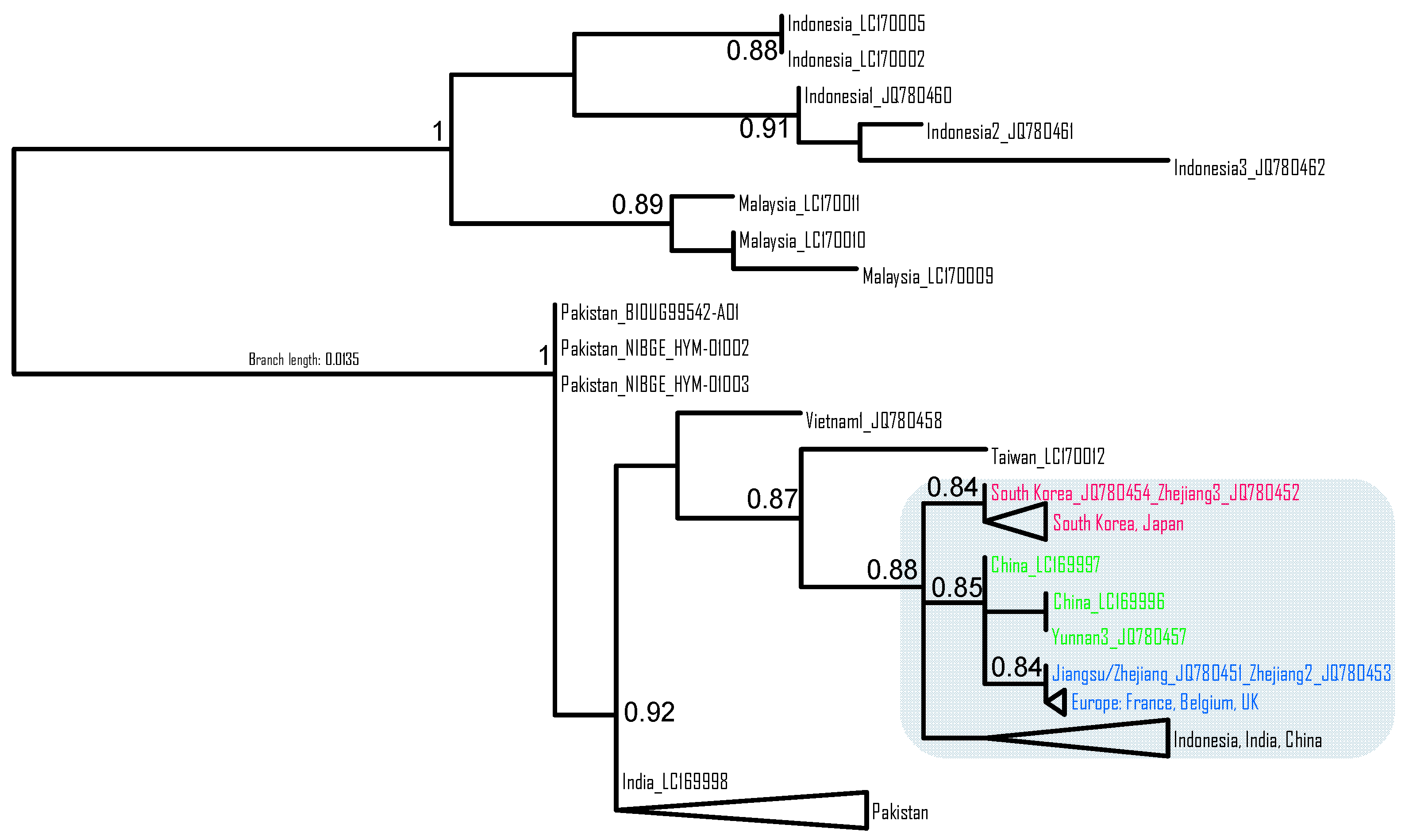 Preprints 117024 g005