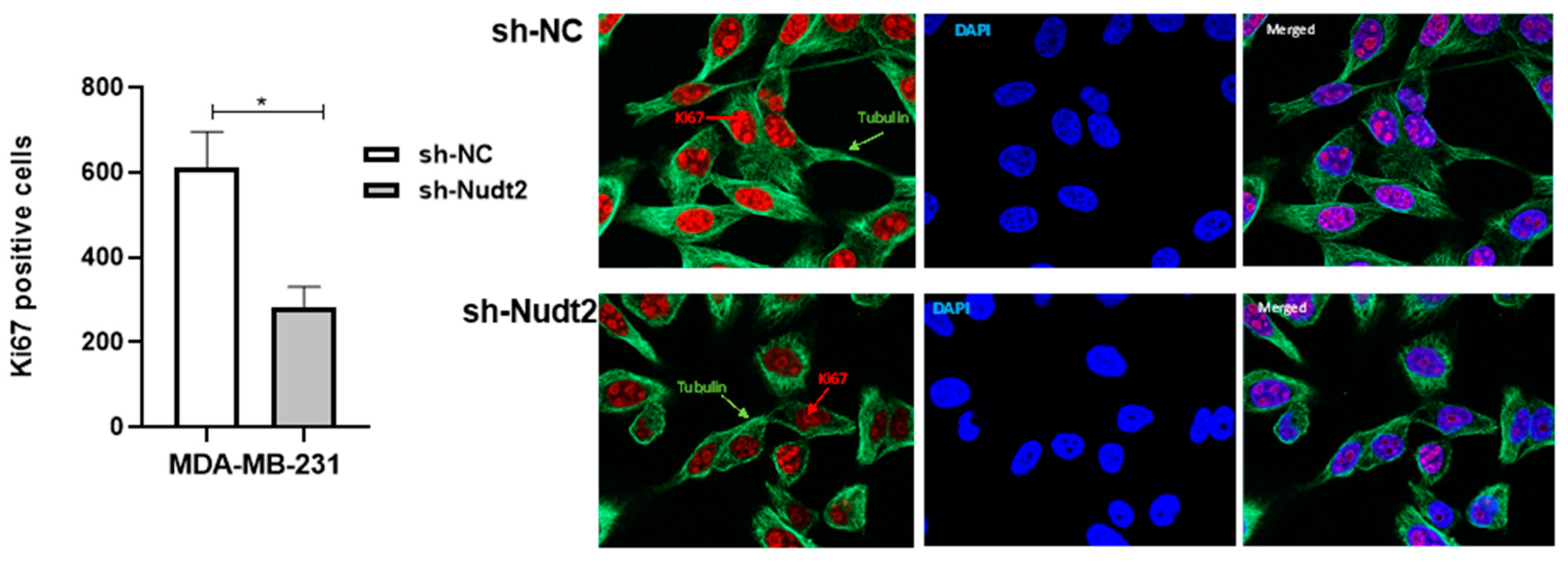 Preprints 79764 g003