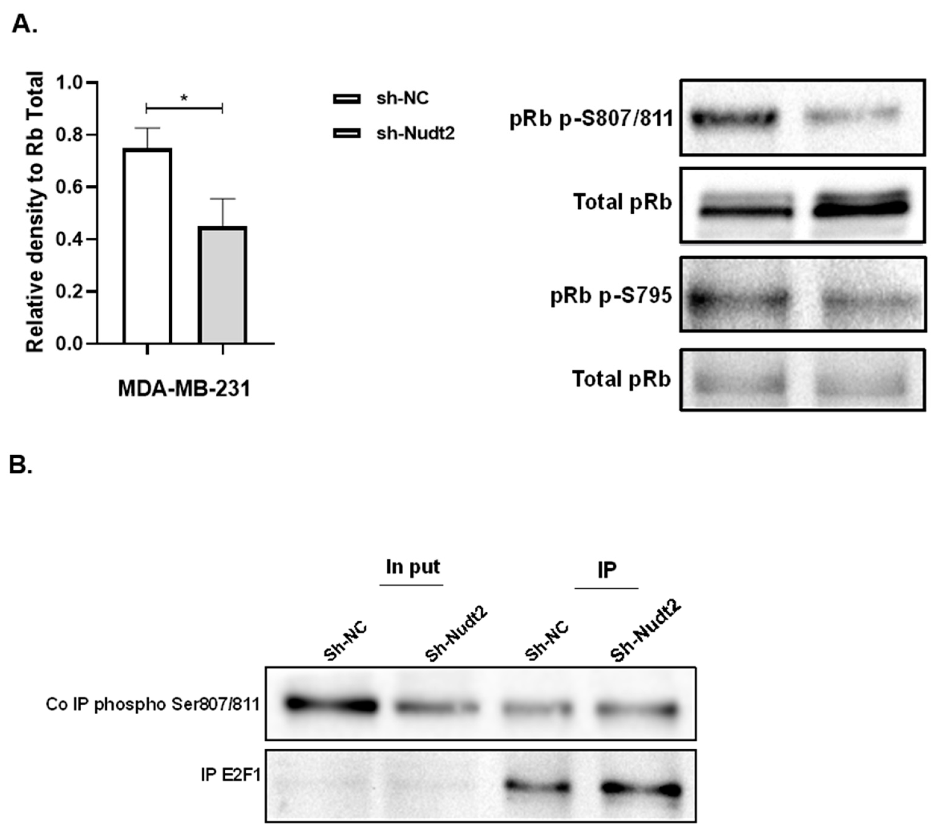 Preprints 79764 g004