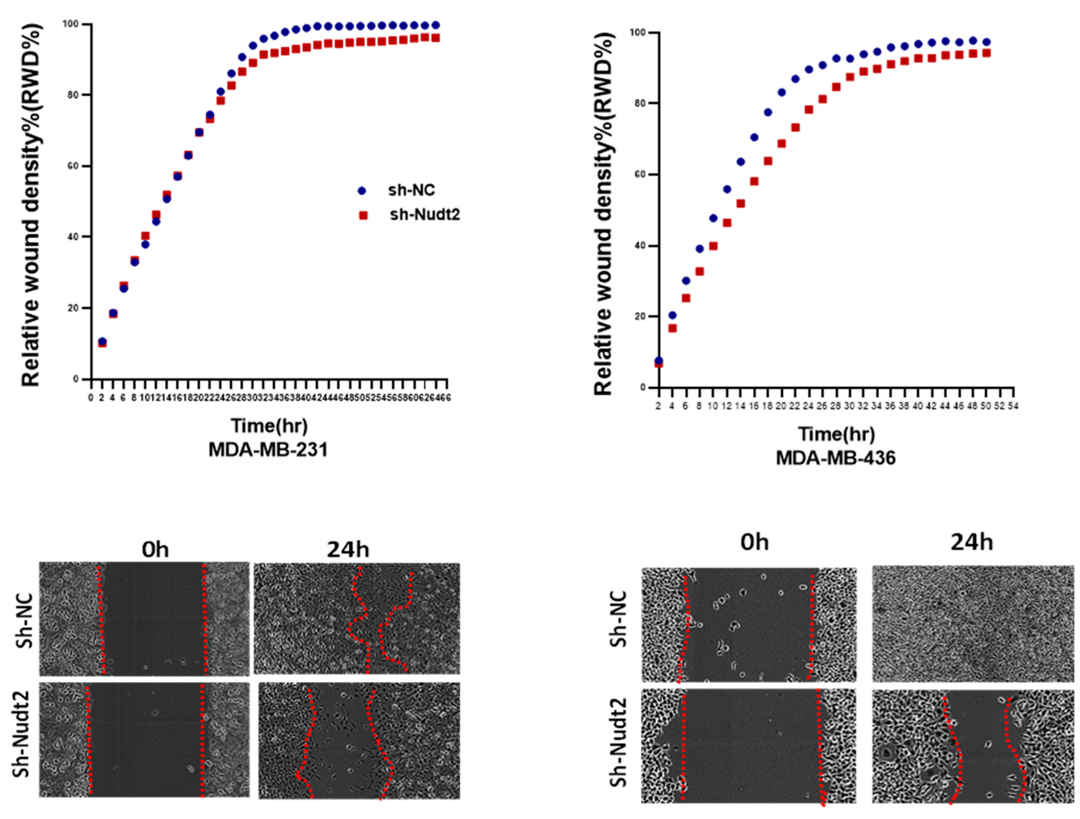 Preprints 79764 g005