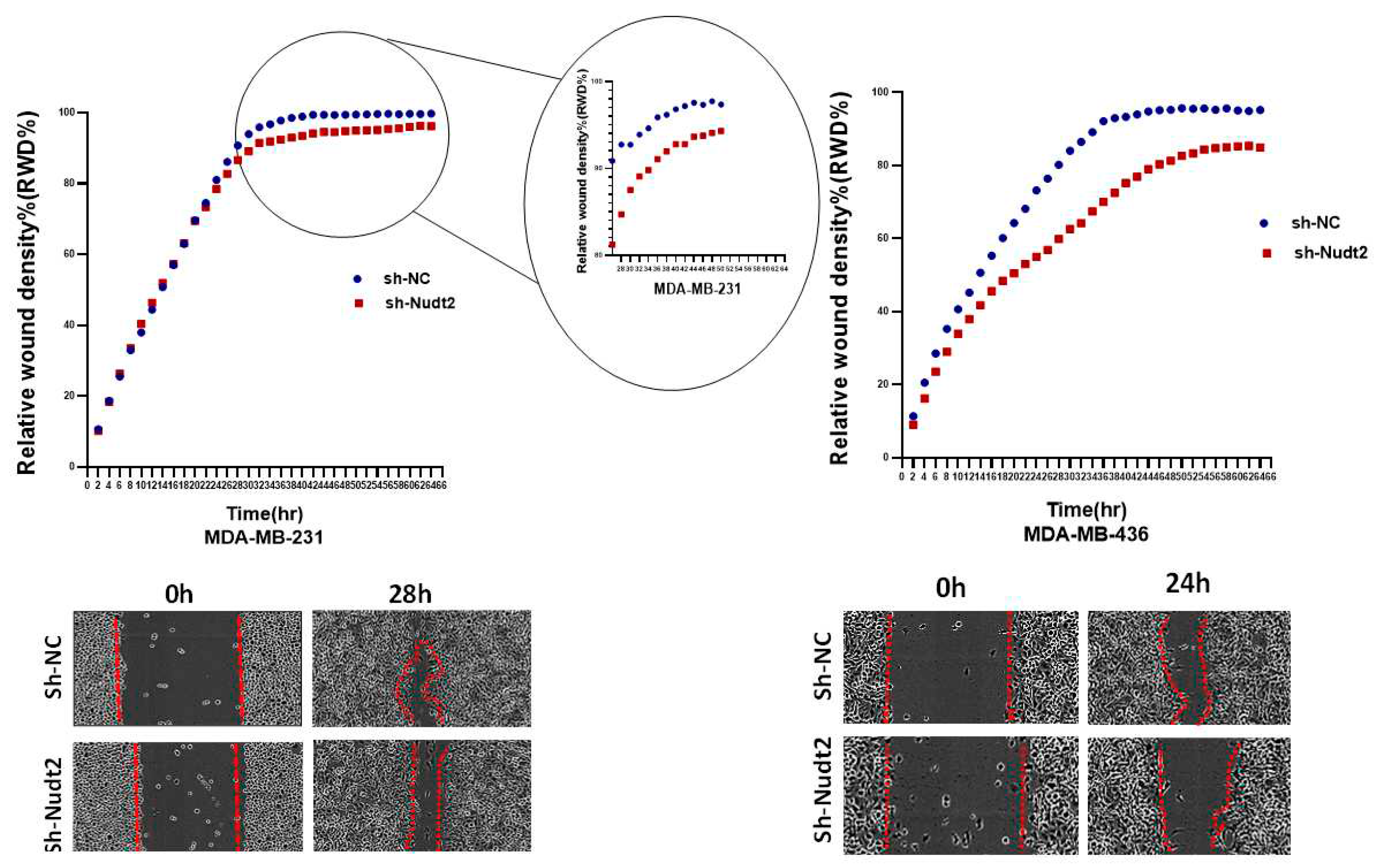 Preprints 79764 g006