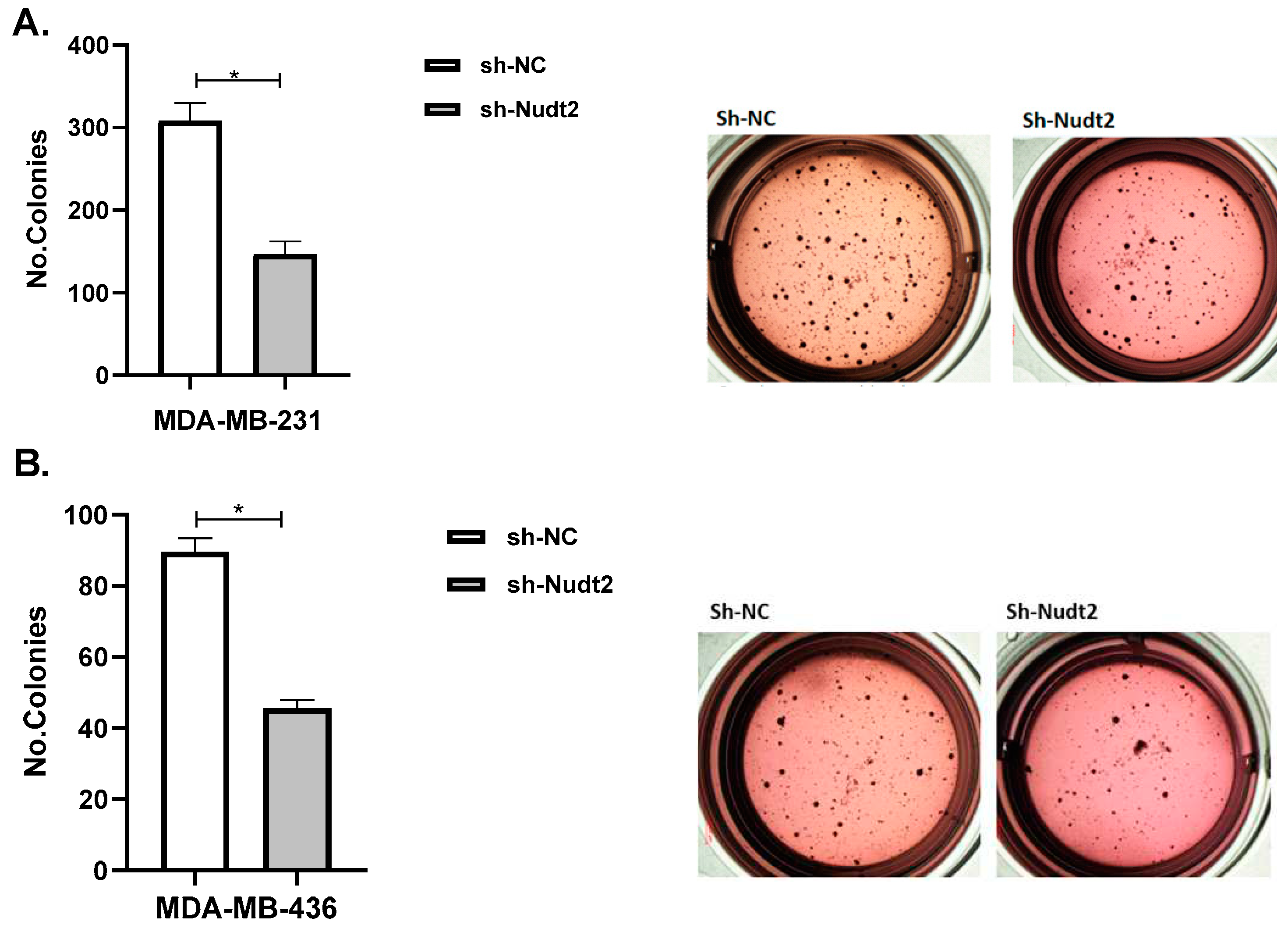 Preprints 79764 g007